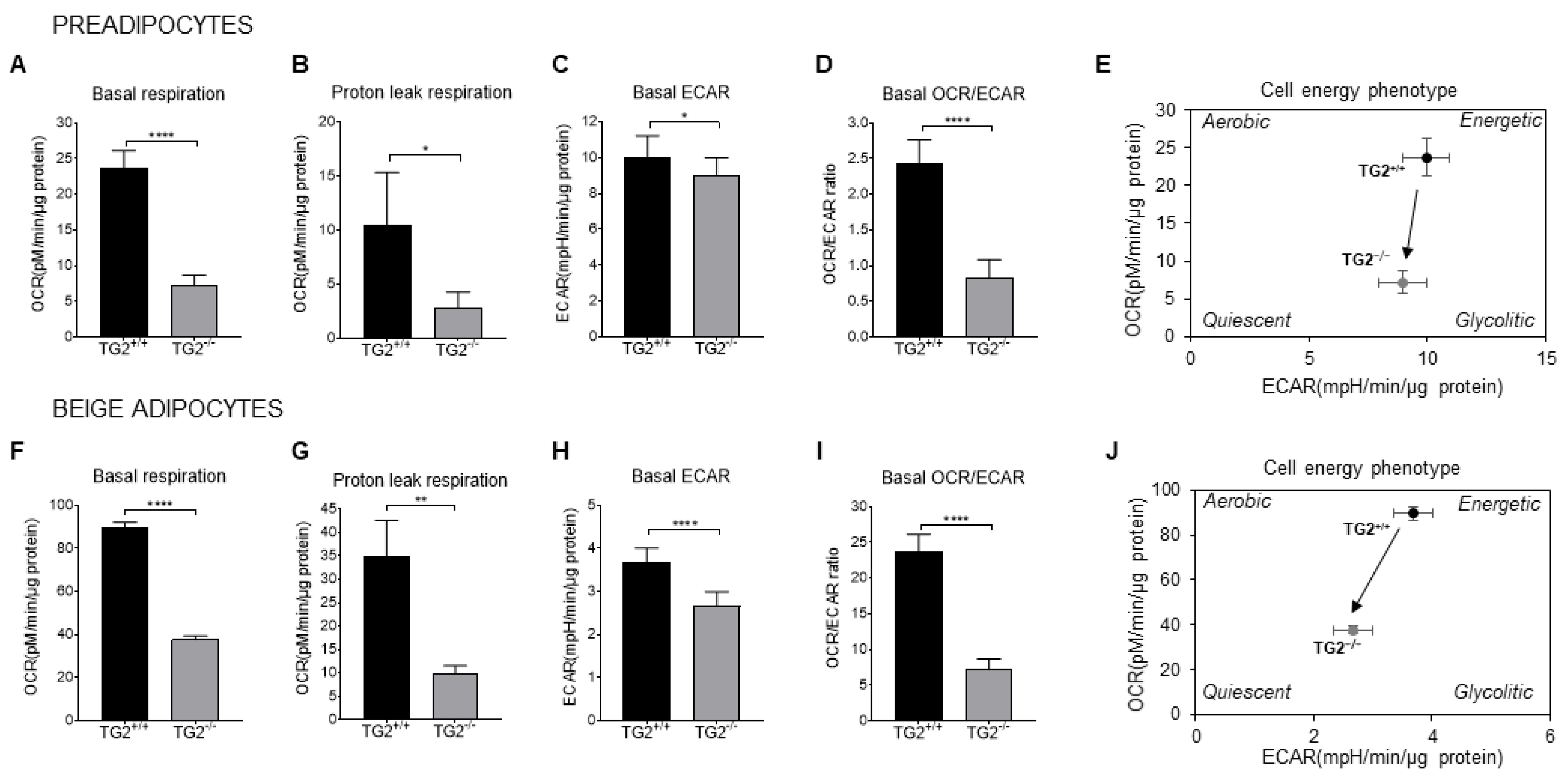 Ijms 23 05175 g004 Ijms 23 05175 g004