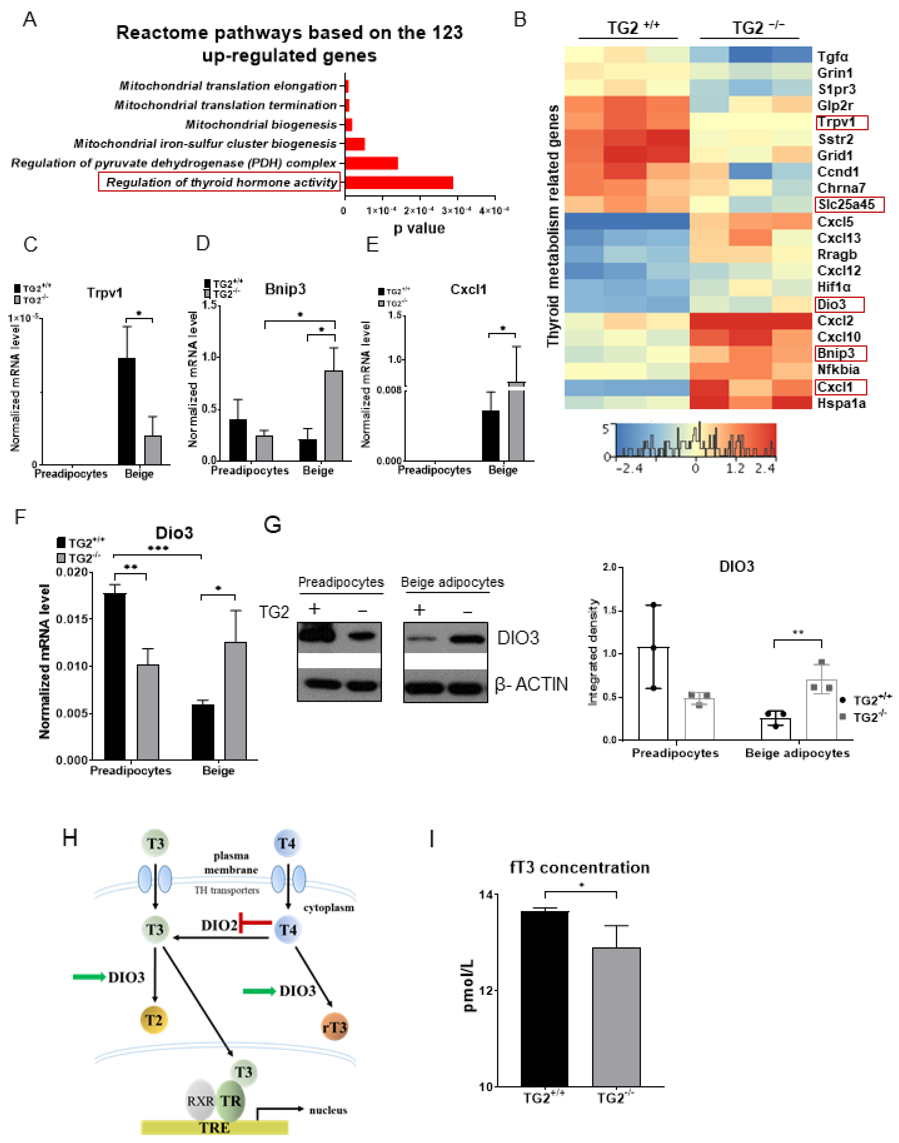 Ijms 23 05175 g006 Ijms 23 05175 g006