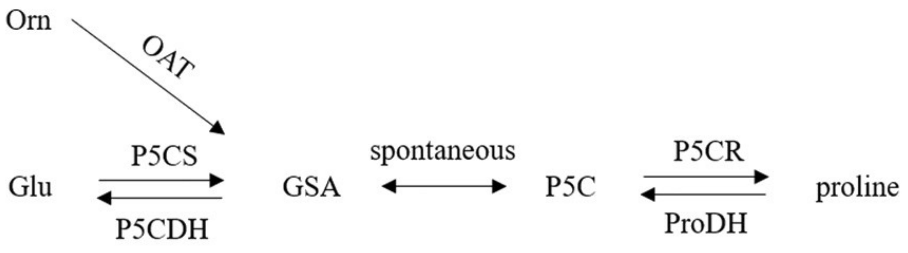 Ijms 23 05186 g001