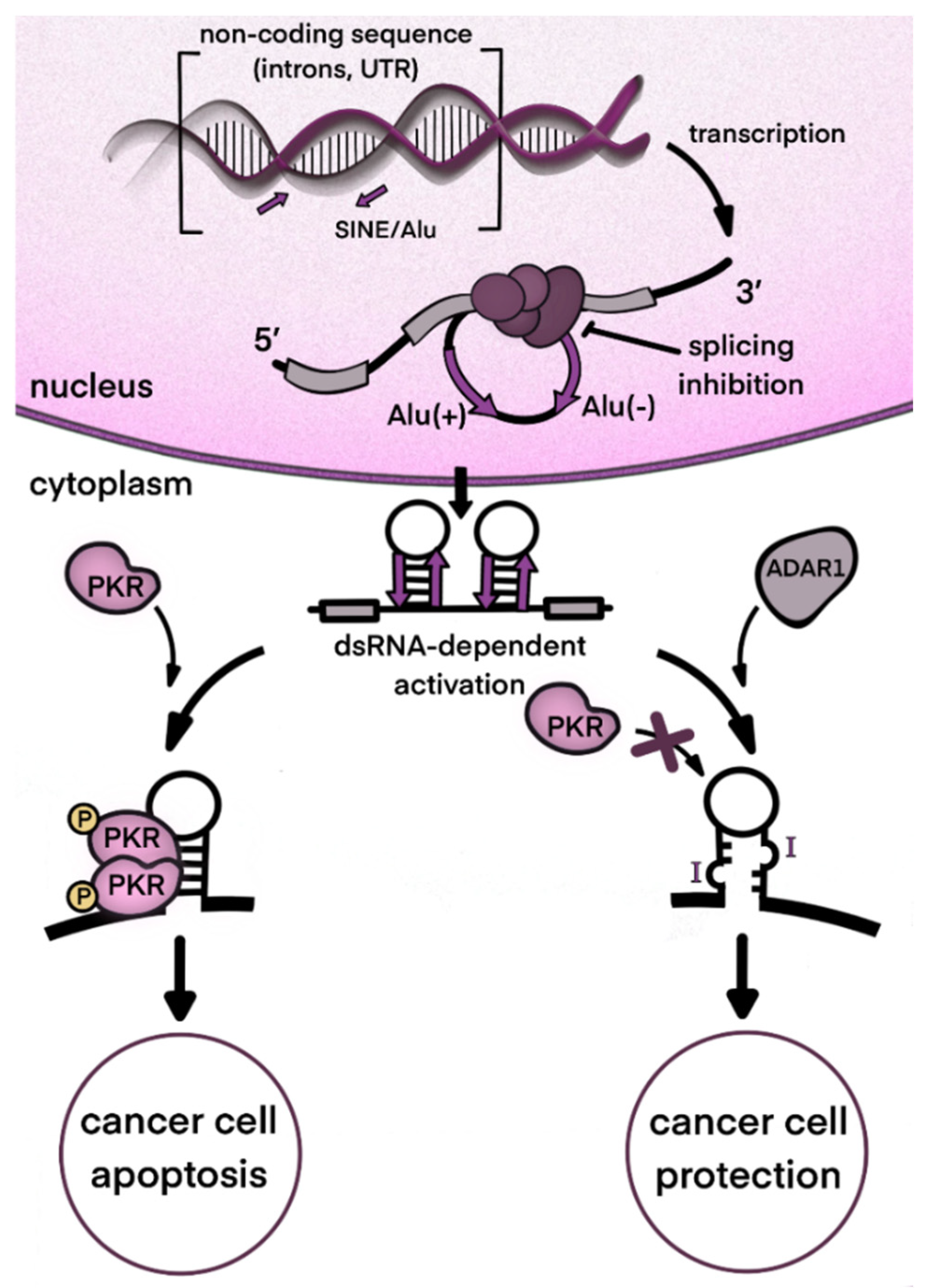 Ijms 23 05240 g004 Ijms 23 05240 g004