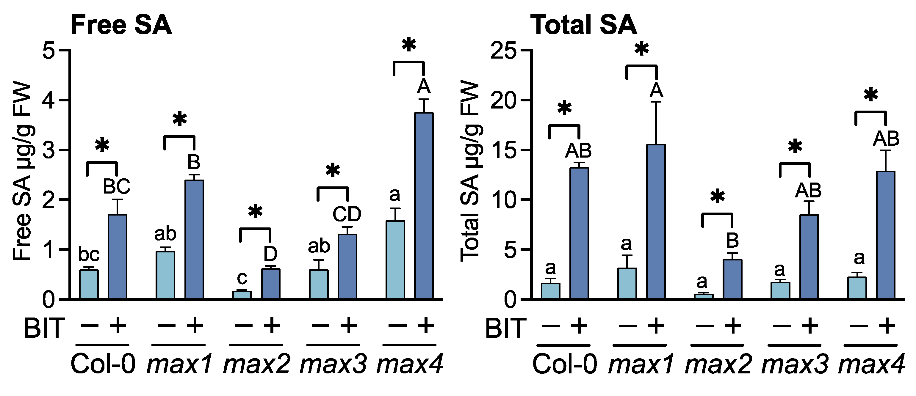 Ijms 23 05246 g003 Ijms 23 05246 g003