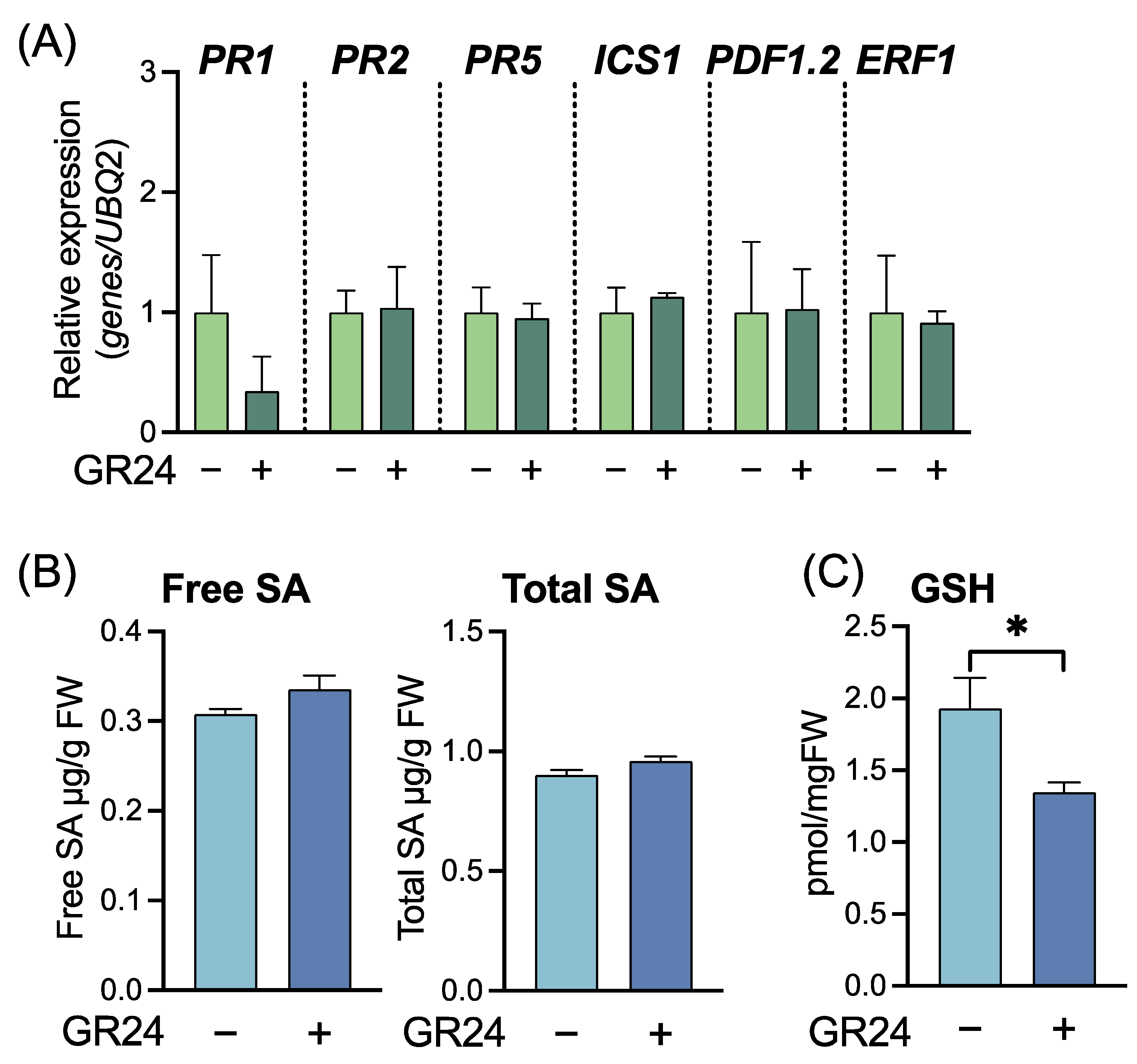 Ijms 23 05246 g005 Ijms 23 05246 g005
