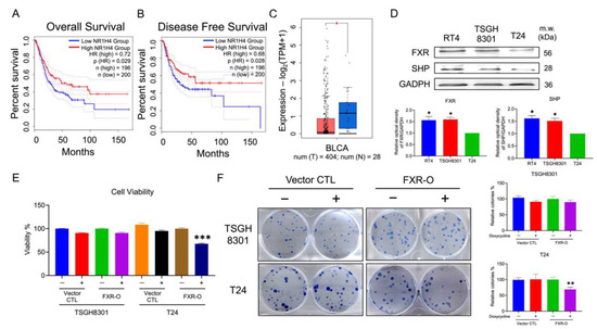 Ijms Free Full Text Enhancement Of Farnesoid X Receptor Inhibits