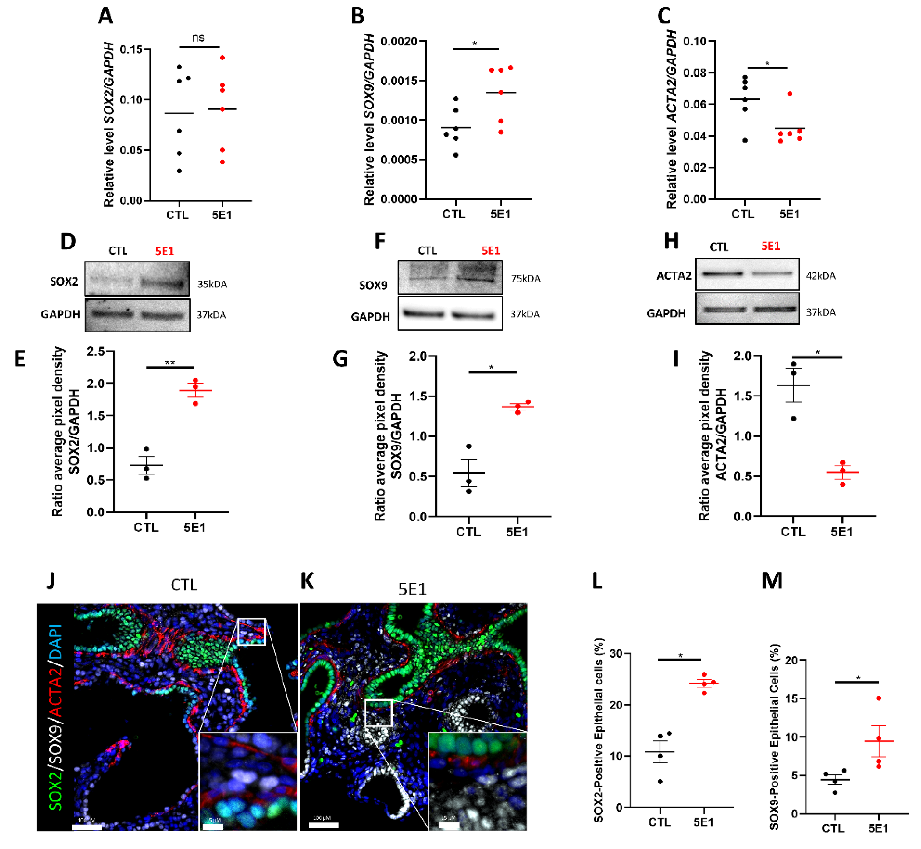 Ijms 23 05265 g004 Ijms 23 05265 g004