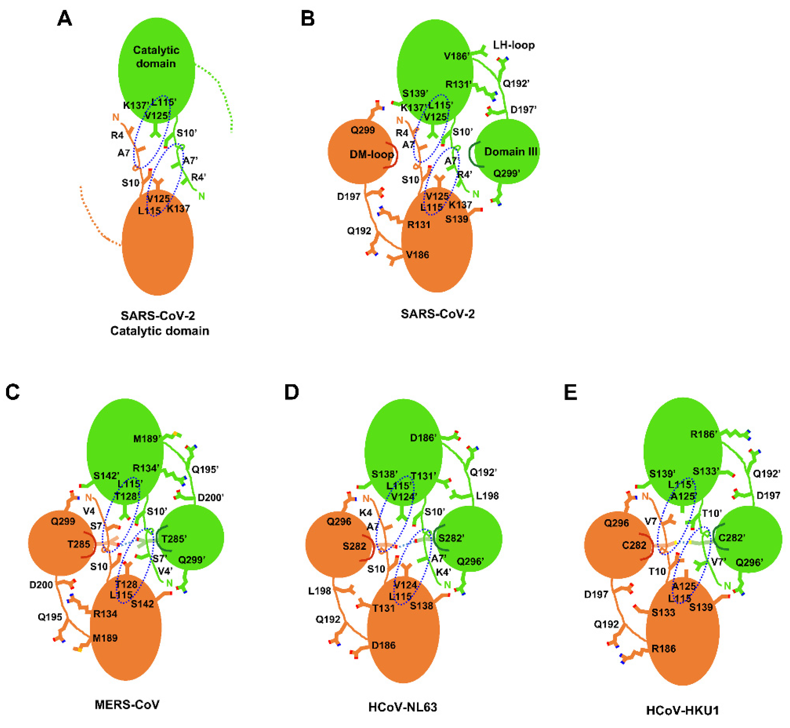 Ijms 23 05268 g002 Ijms 23 05268 g002