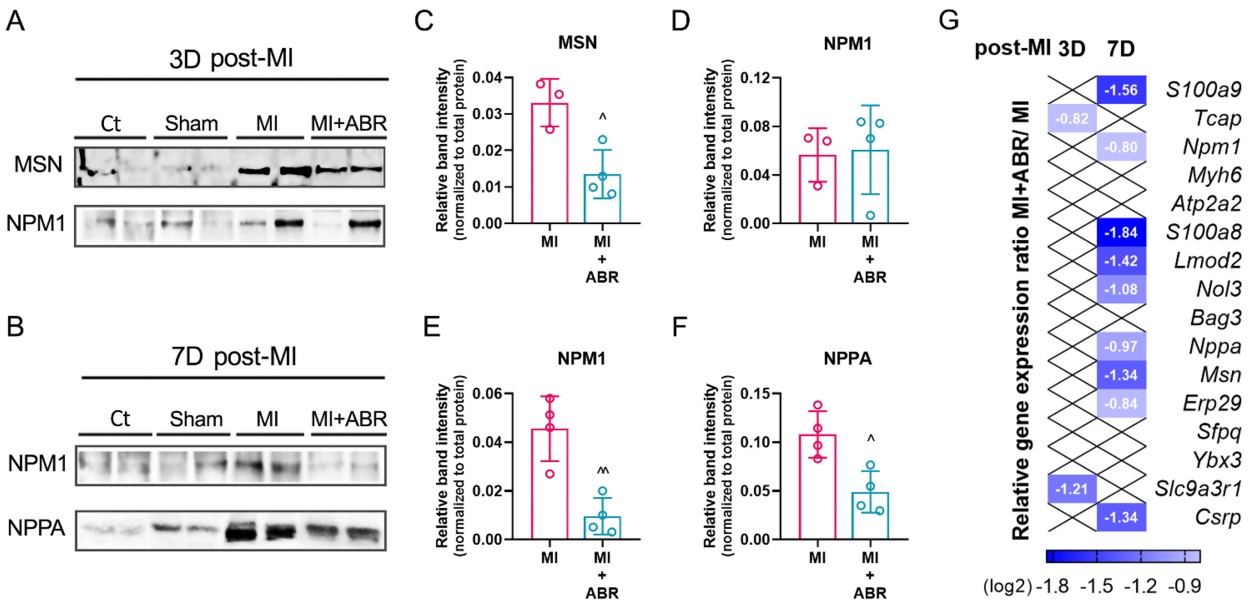 Ijms 23 05289 g007 Ijms 23 05289 g007