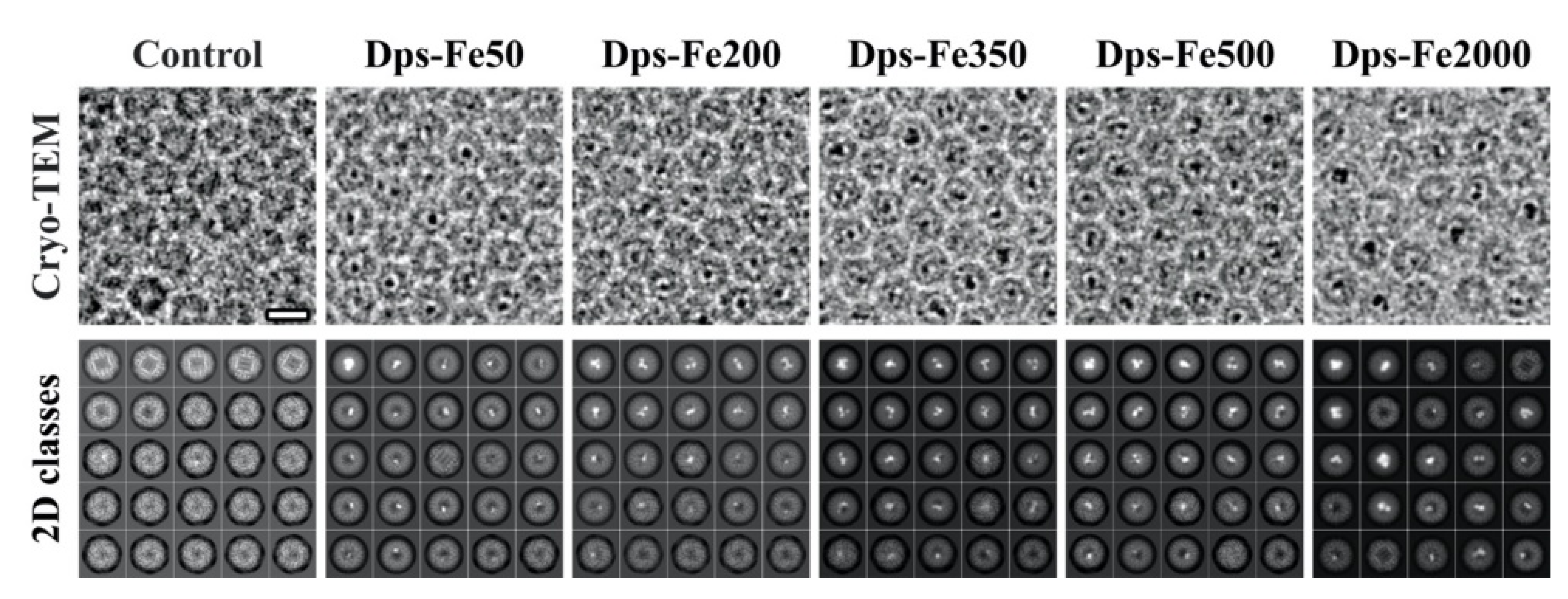 Ijms 23 05313 g001 Ijms 23 05313 g001