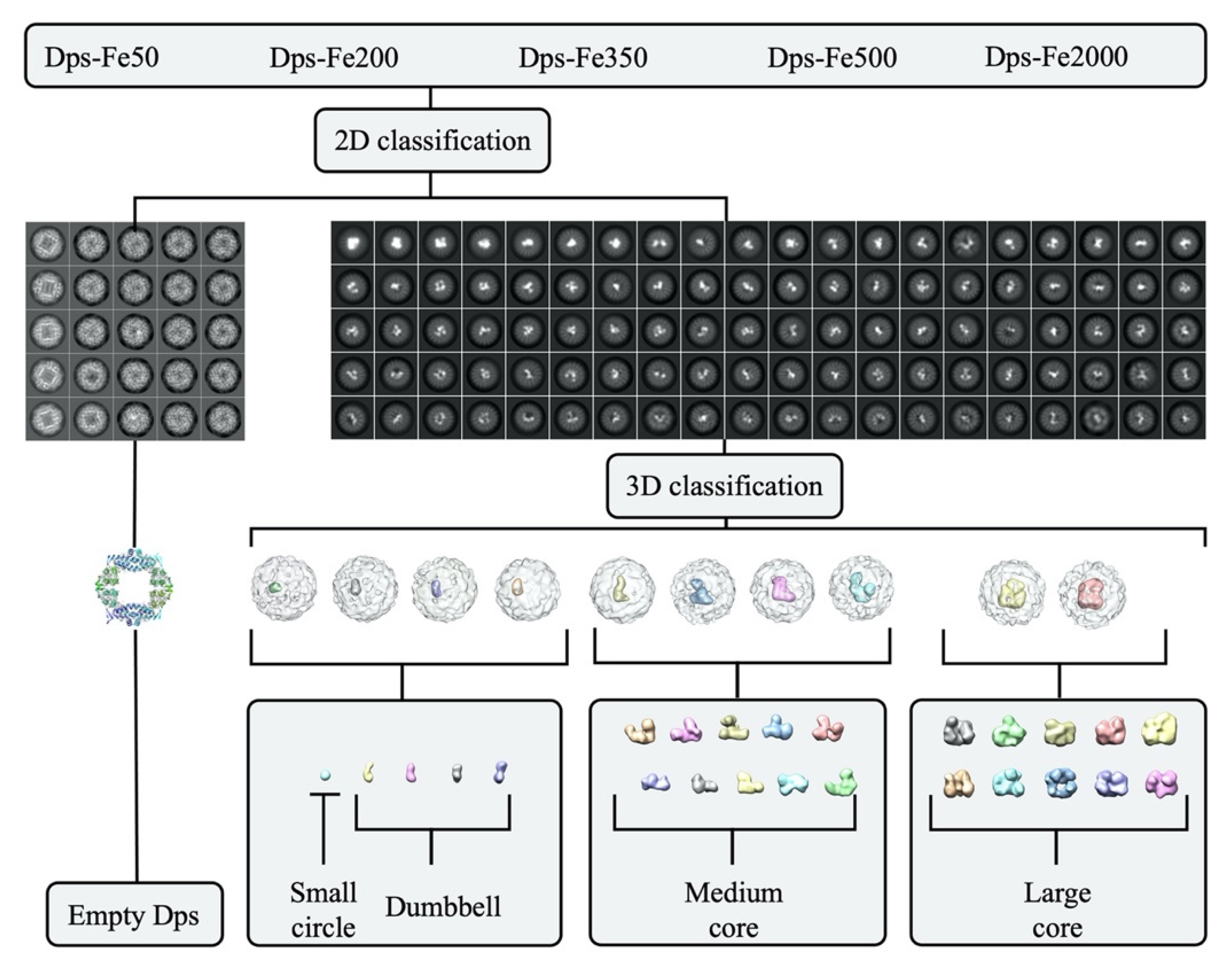 Ijms 23 05313 g007 Ijms 23 05313 g007