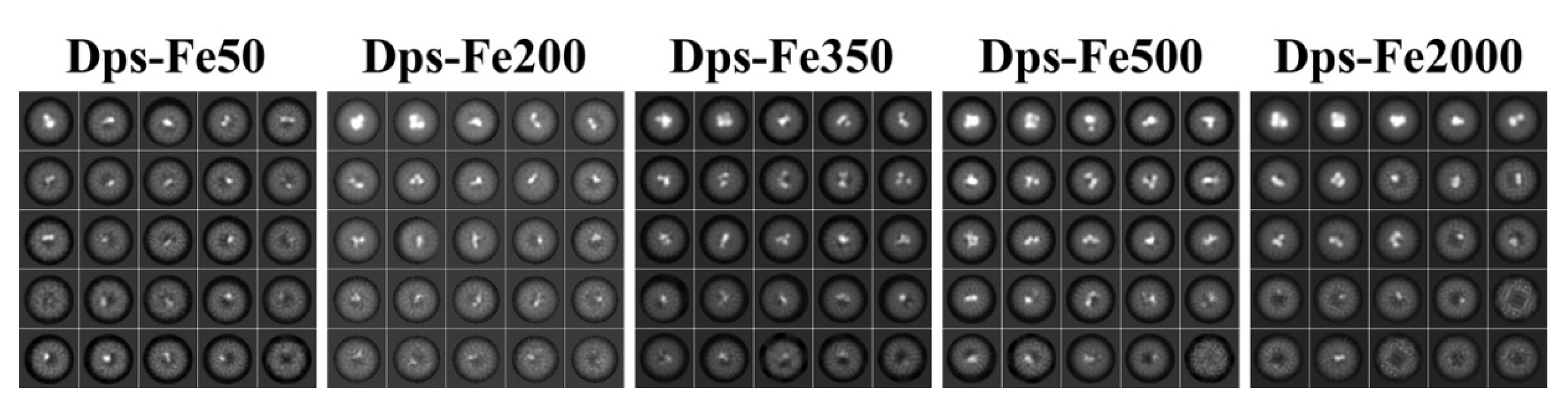 Ijms 23 05313 g0a1 Ijms 23 05313 g0a1