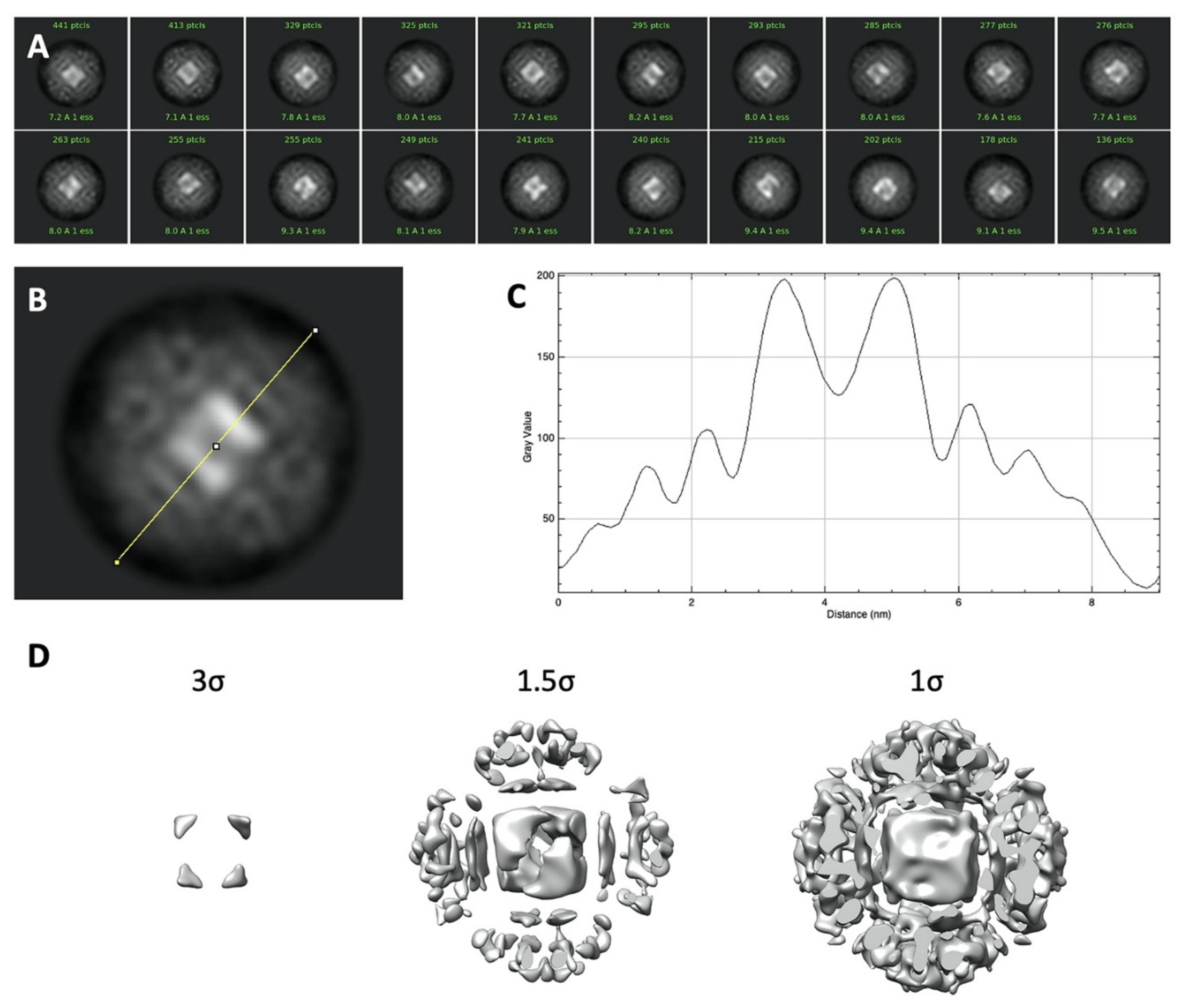 Ijms 23 05313 g0a2 Ijms 23 05313 g0a2