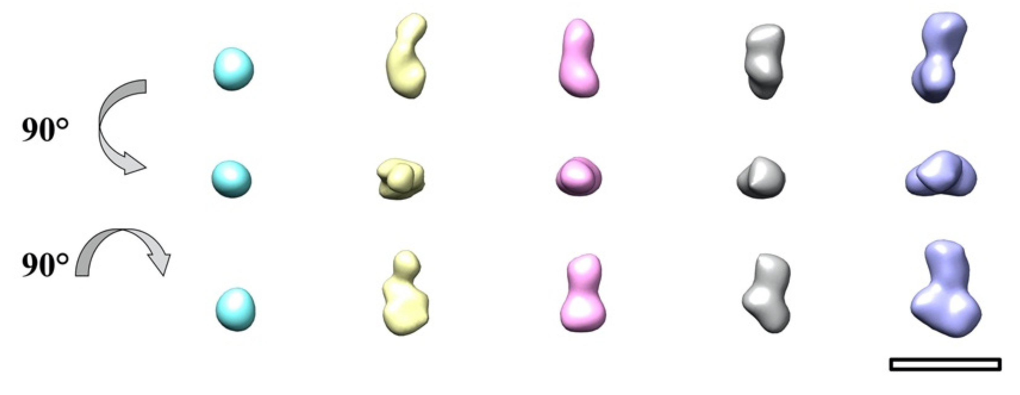 Ijms 23 05313 g0a3 Ijms 23 05313 g0a3