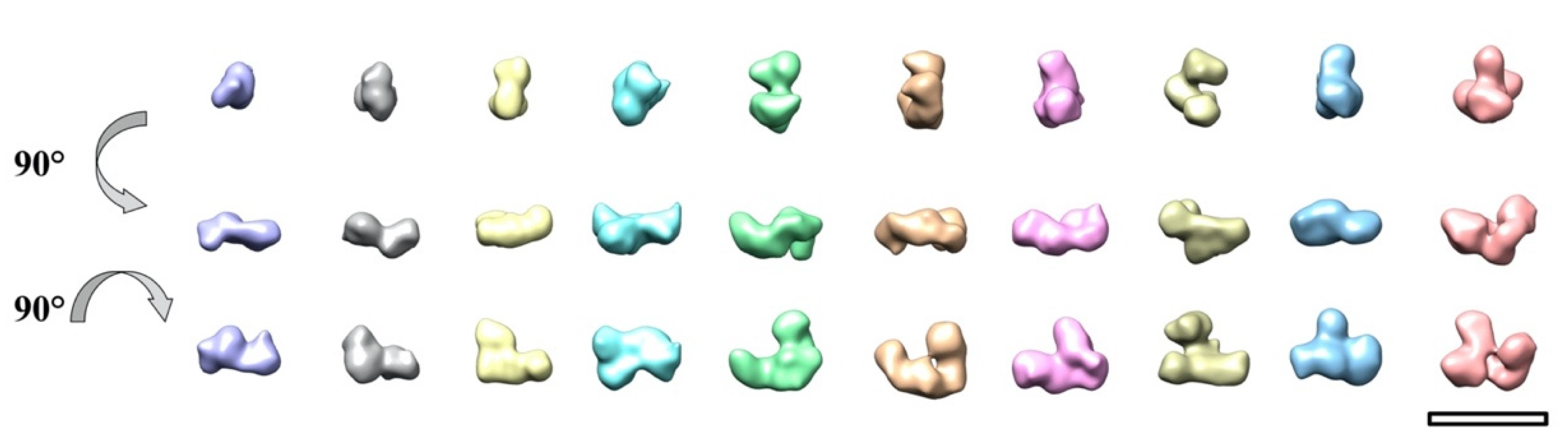 Ijms 23 05313 g0a4 Ijms 23 05313 g0a4