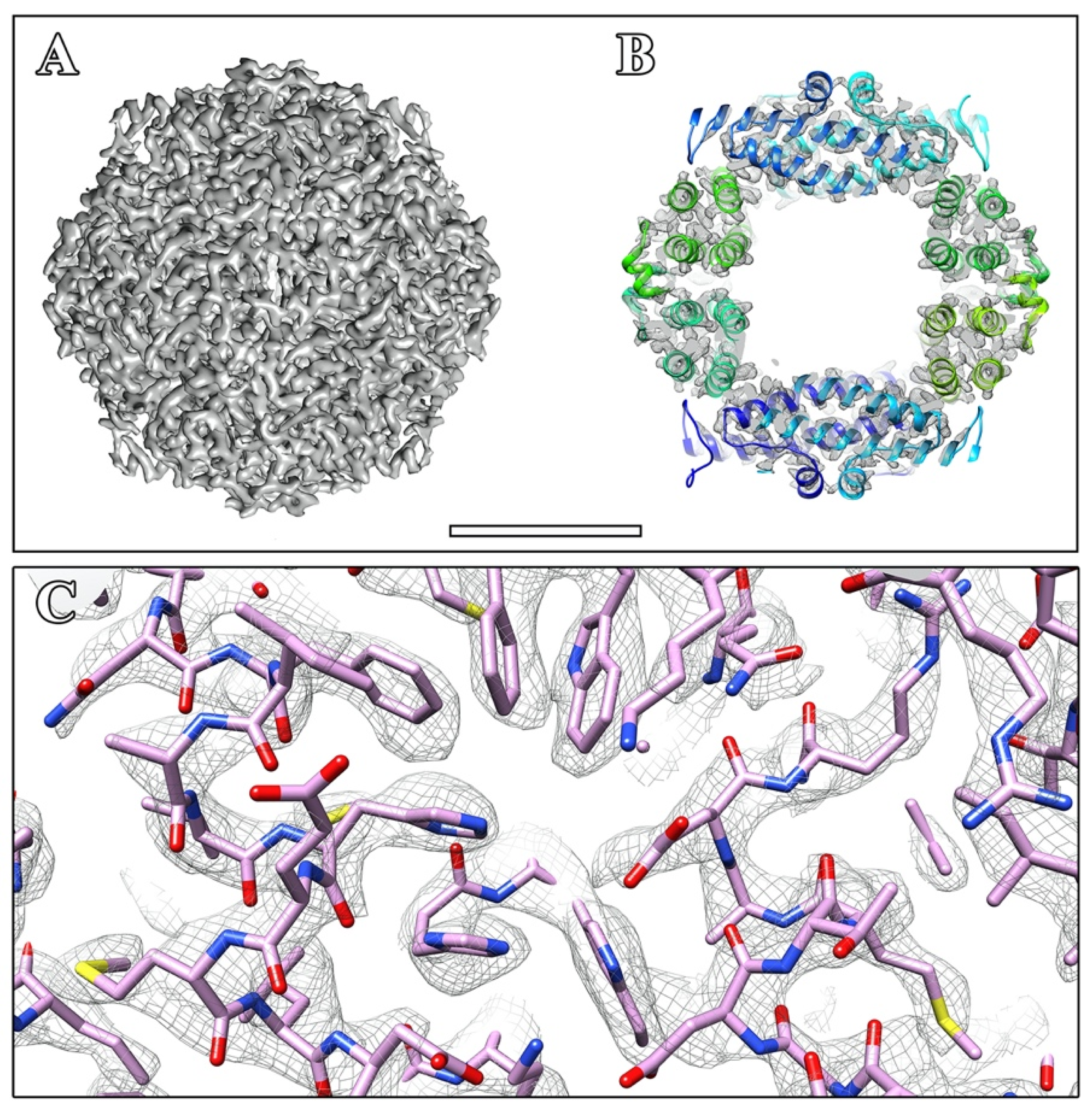 Ijms 23 05313 g0a6 Ijms 23 05313 g0a6