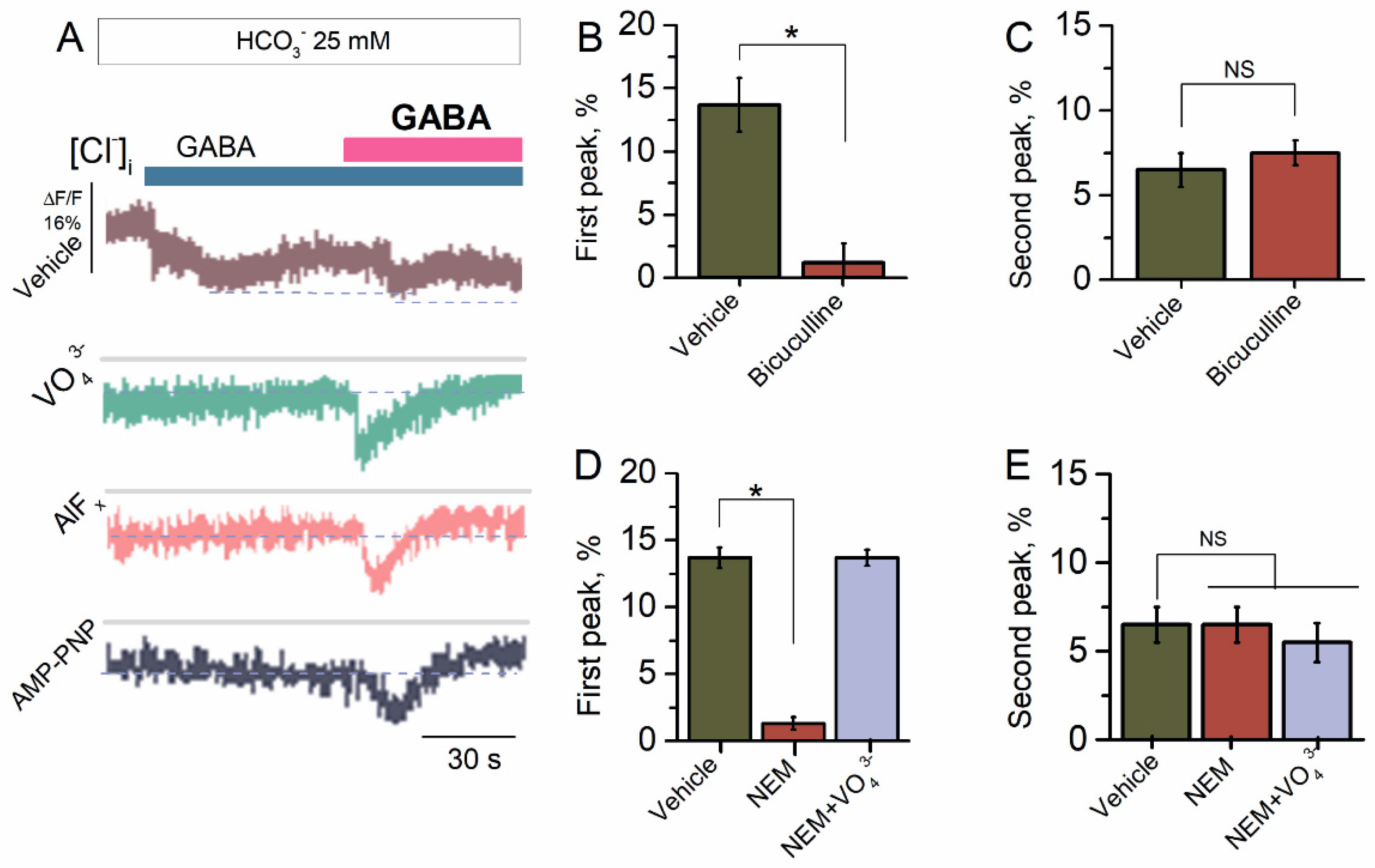 Ijms 23 05320 g002 Ijms 23 05320 g002