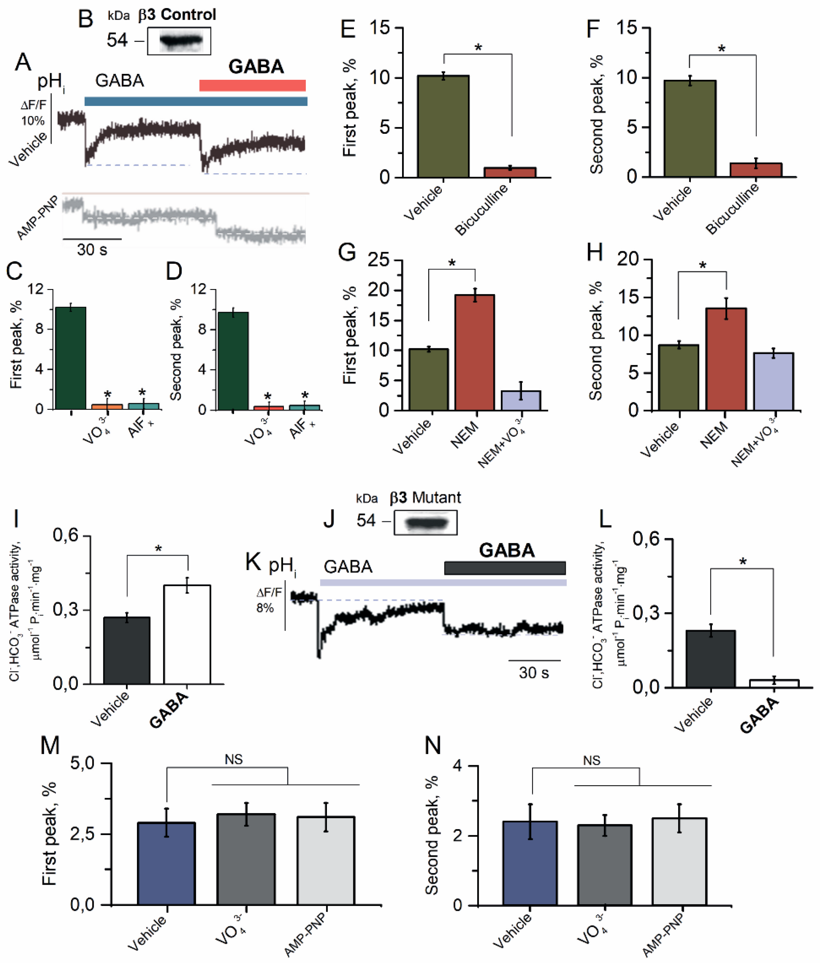 Ijms 23 05320 g004 Ijms 23 05320 g004