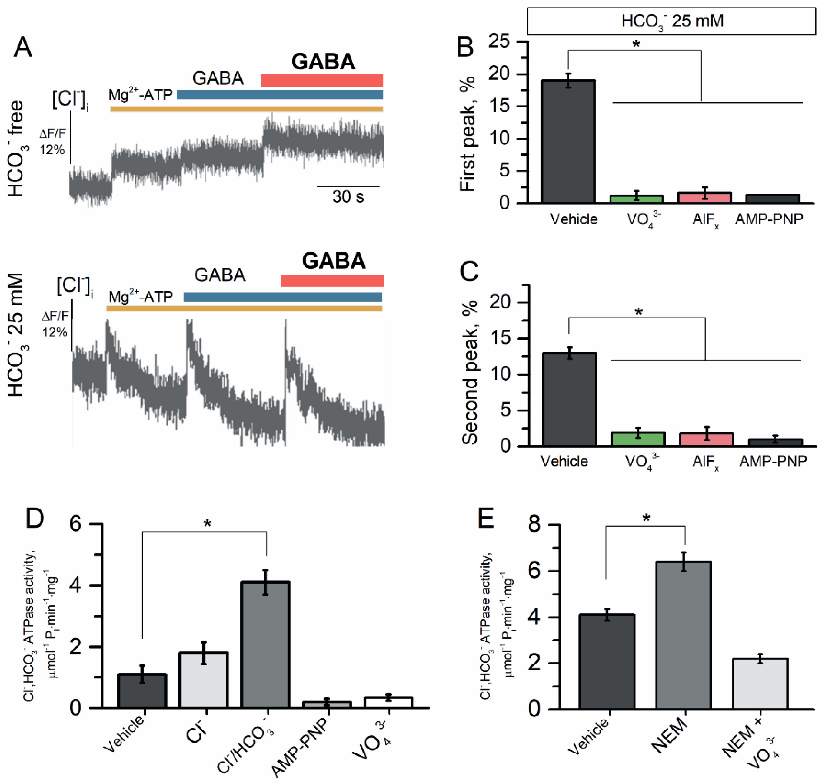 Ijms 23 05320 g005 Ijms 23 05320 g005