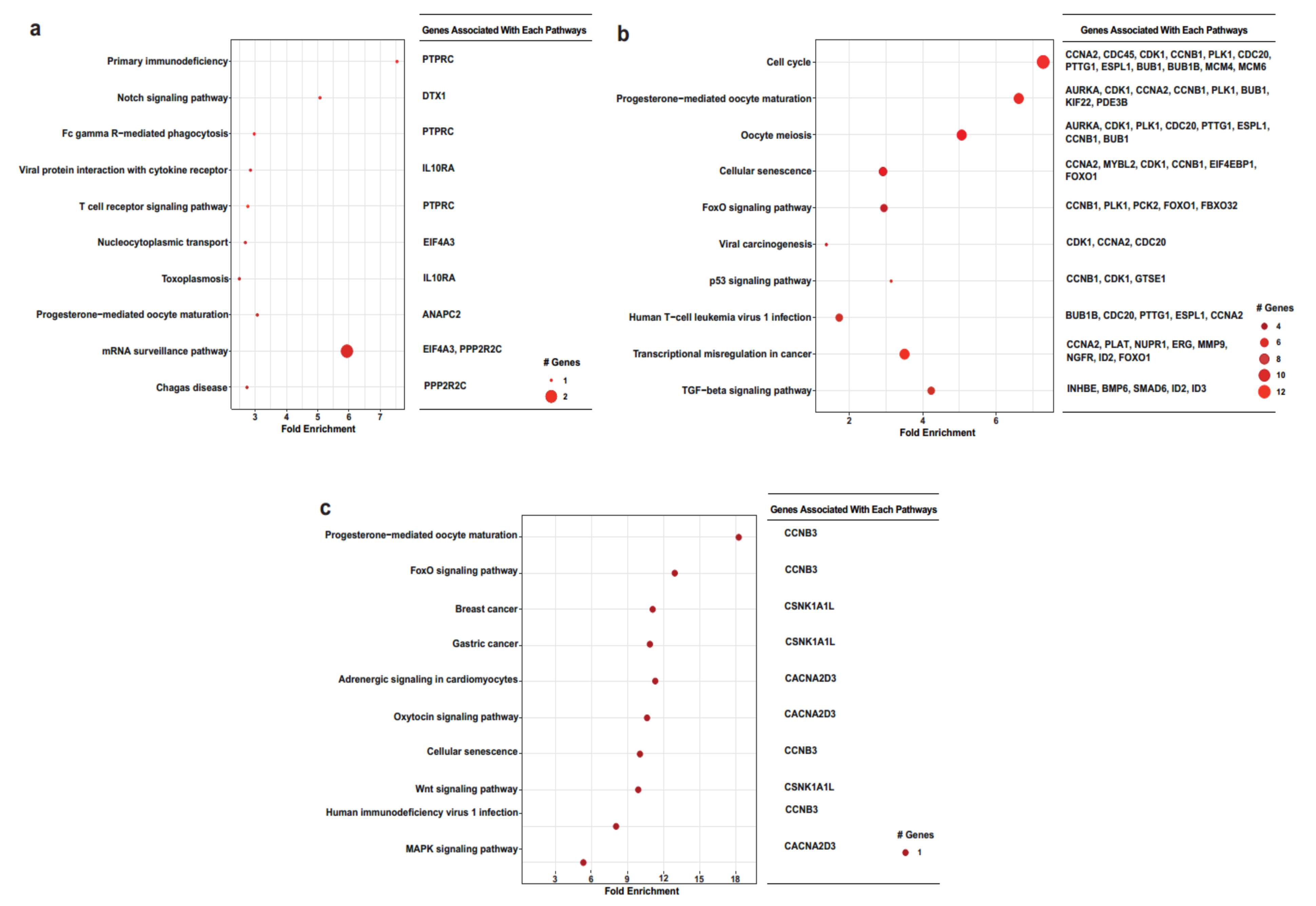 Ijms 23 05334 g006 Ijms 23 05334 g006