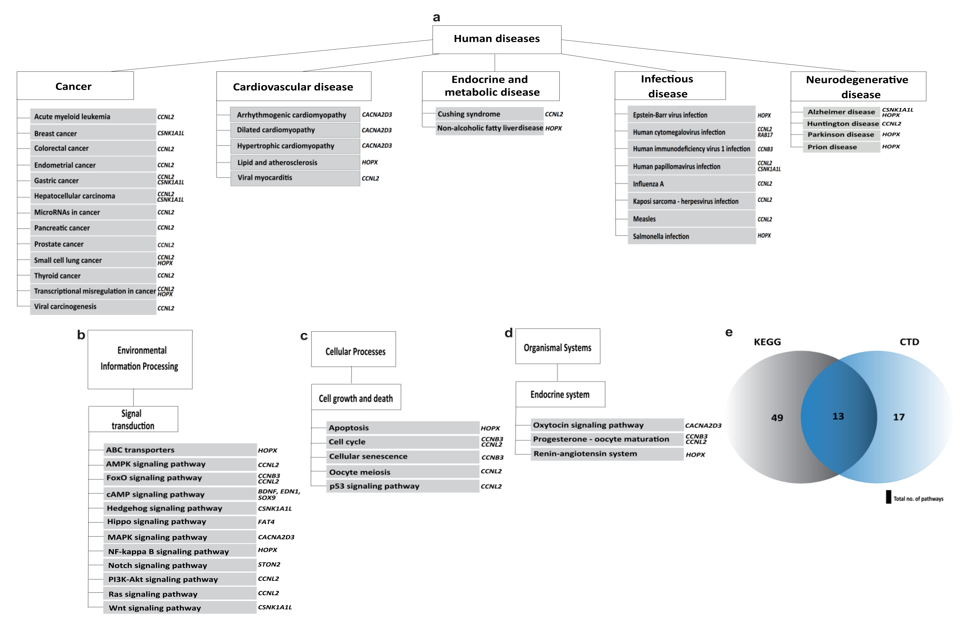 Ijms 23 05334 g007 Ijms 23 05334 g007