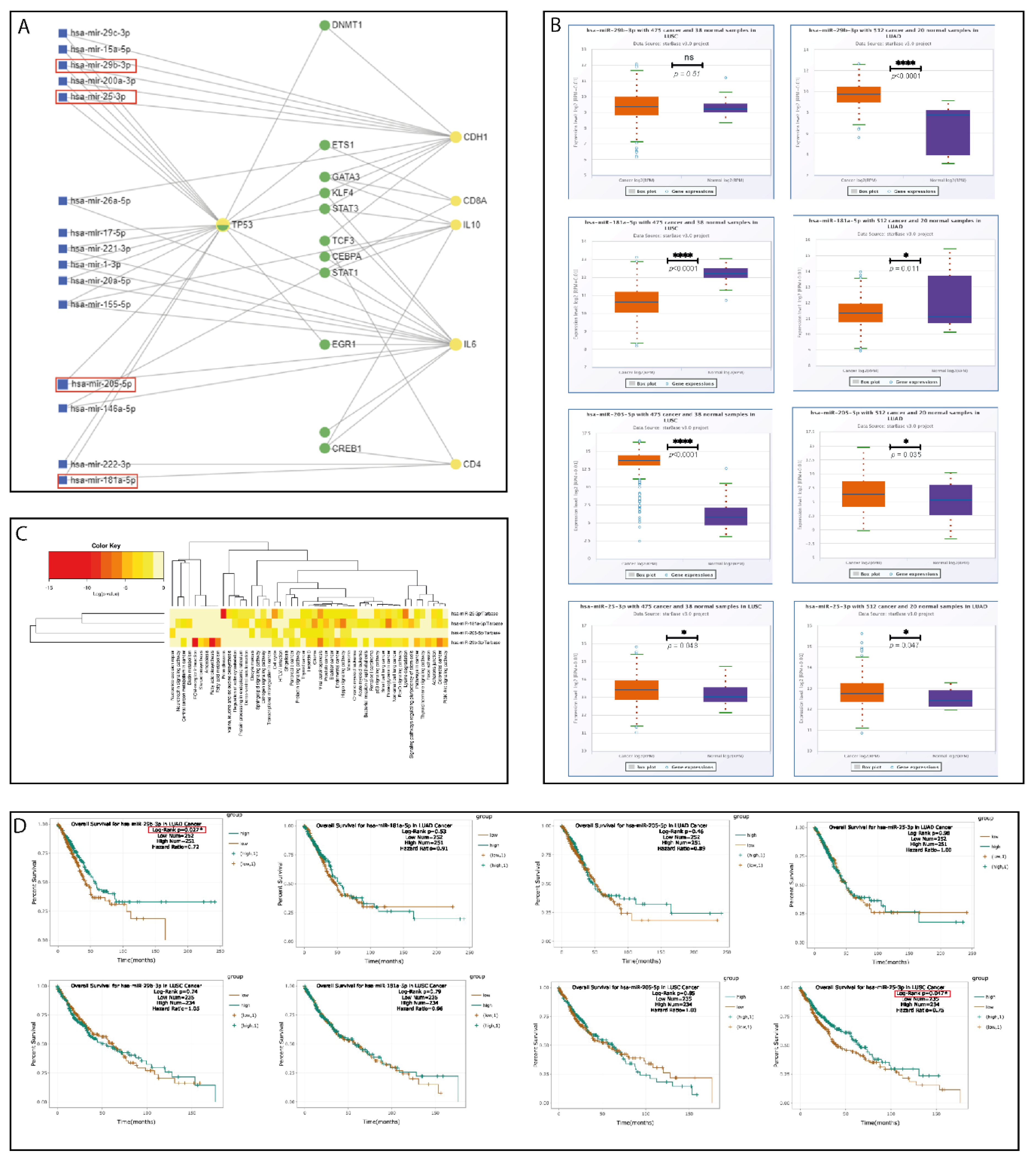 Ijms 23 05346 g005 Ijms 23 05346 g005