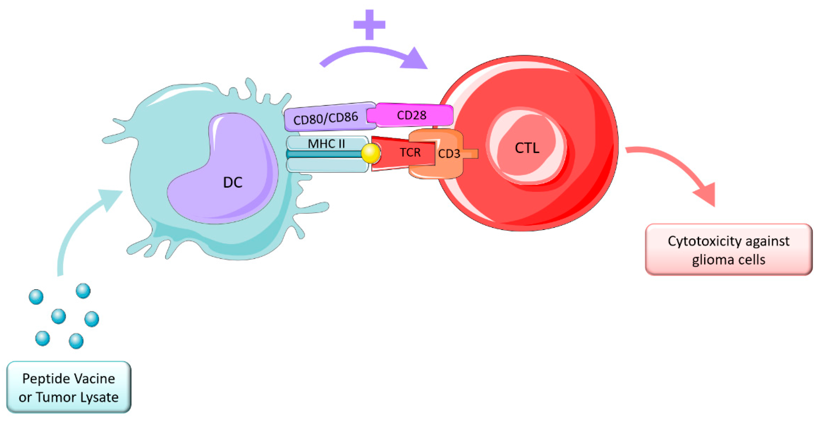 Ijms 23 05351 g006 Ijms 23 05351 g006