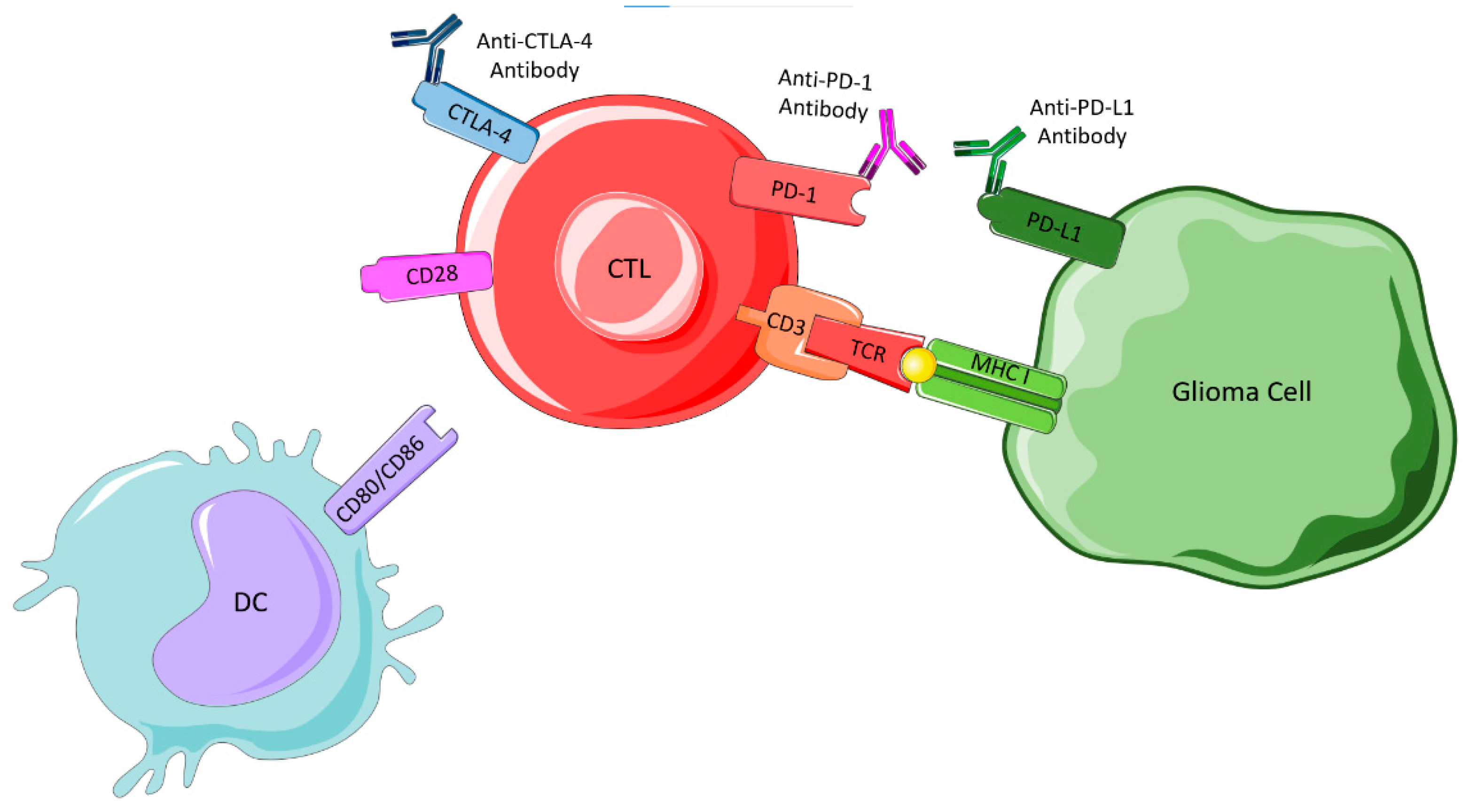 Ijms 23 05351 g007 Ijms 23 05351 g007