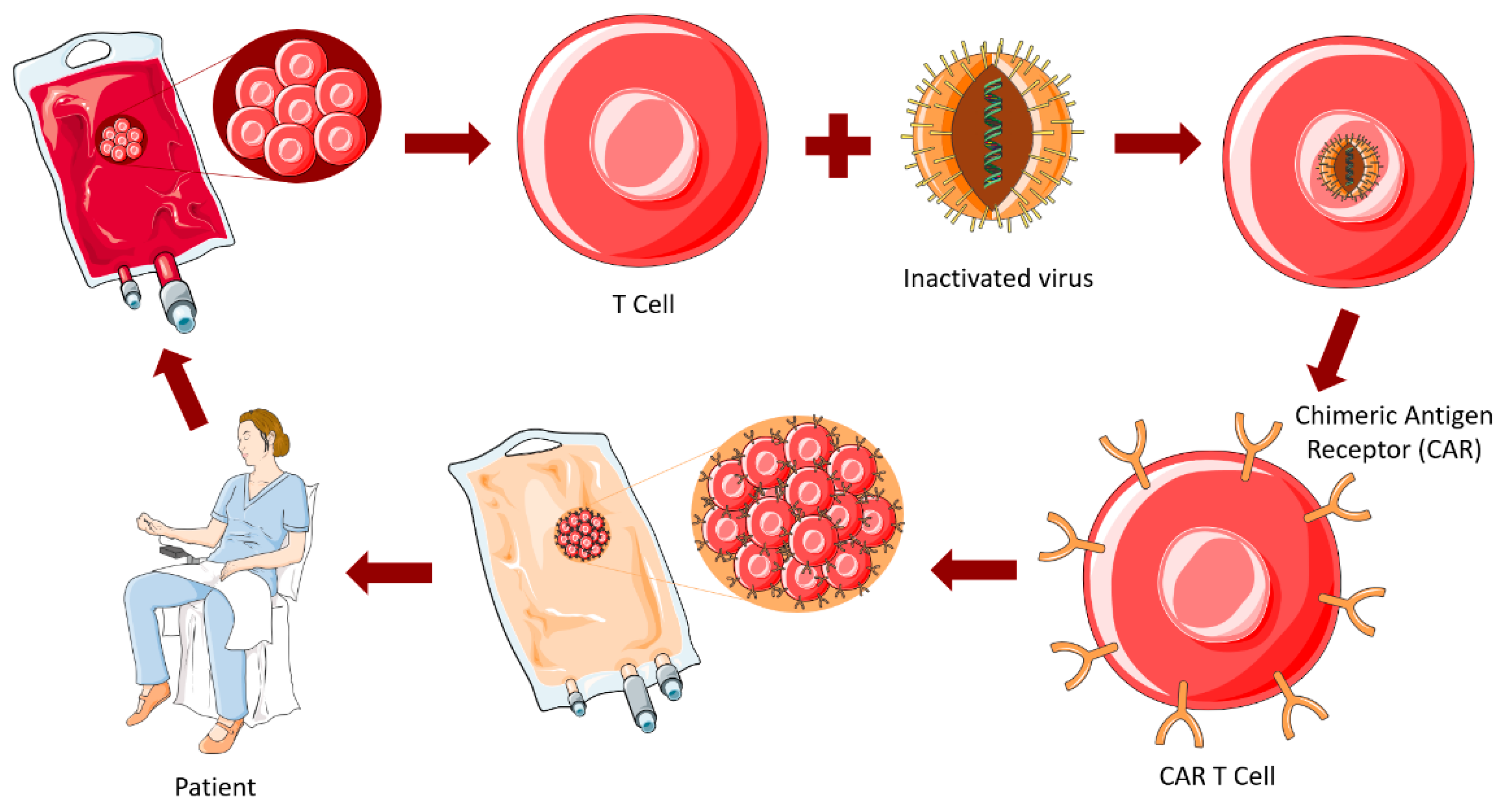 Ijms 23 05351 g009 Ijms 23 05351 g009