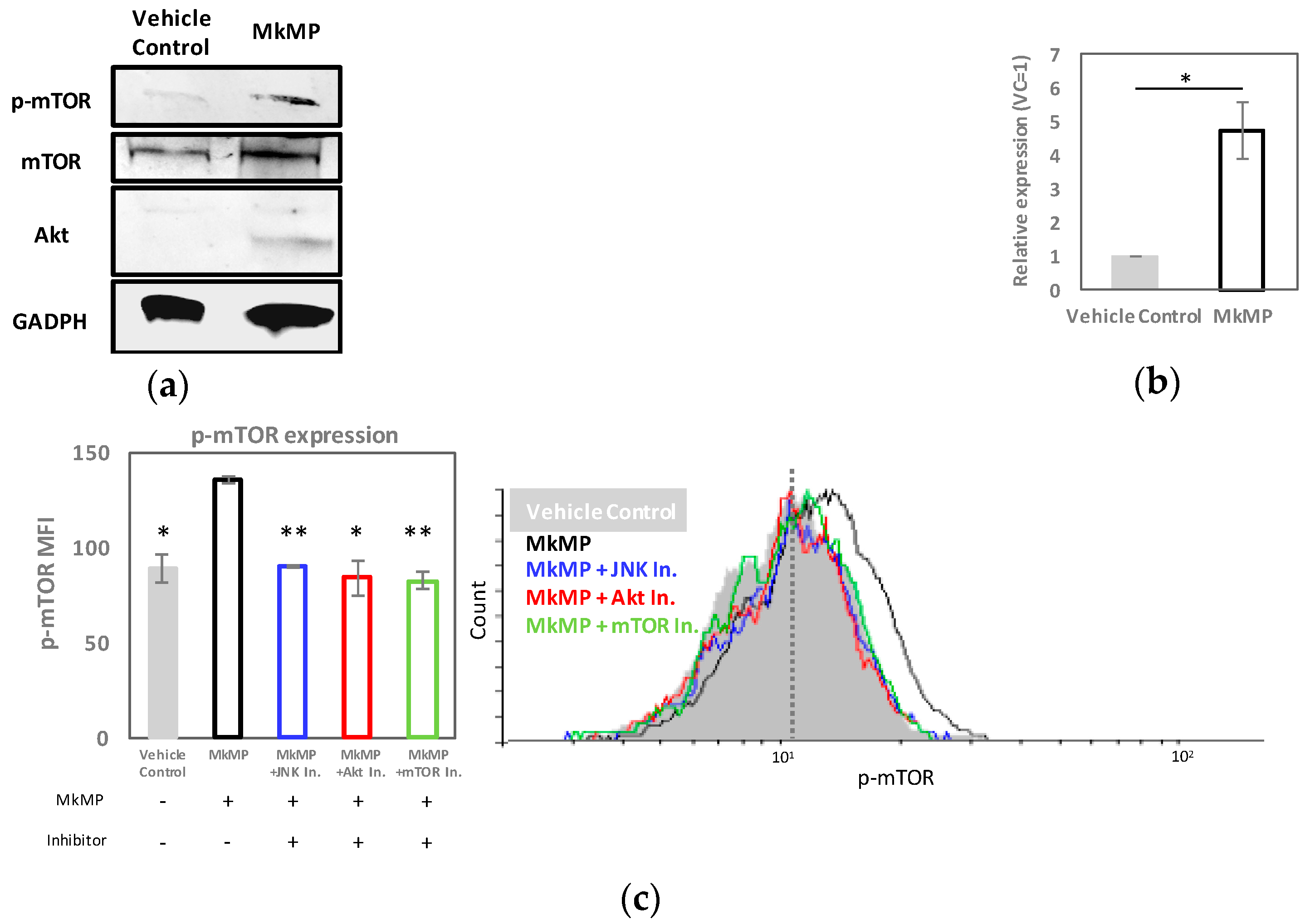 Ijms 23 05355 g006a Ijms 23 05355 g006a