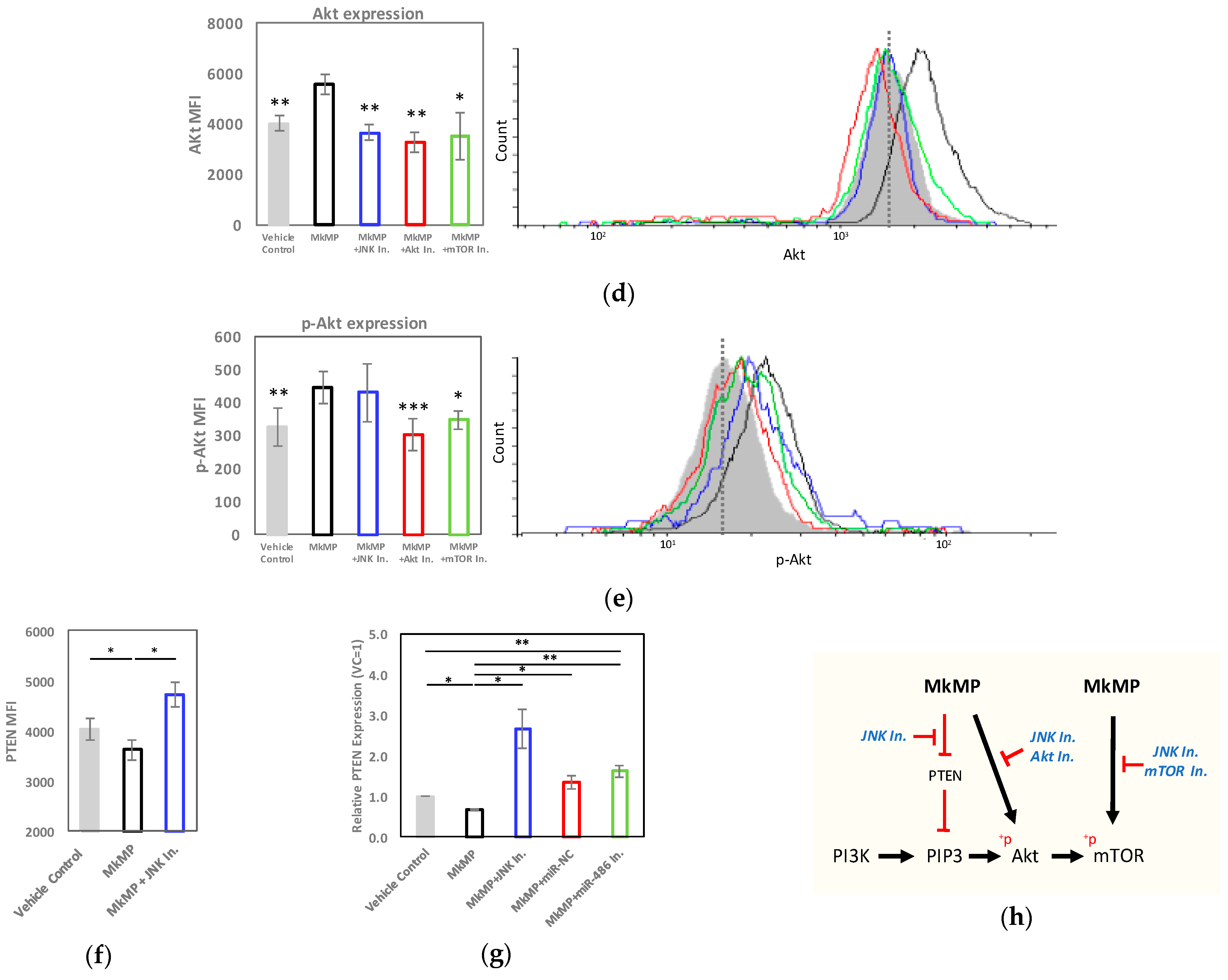 Ijms 23 05355 g006b Ijms 23 05355 g006b