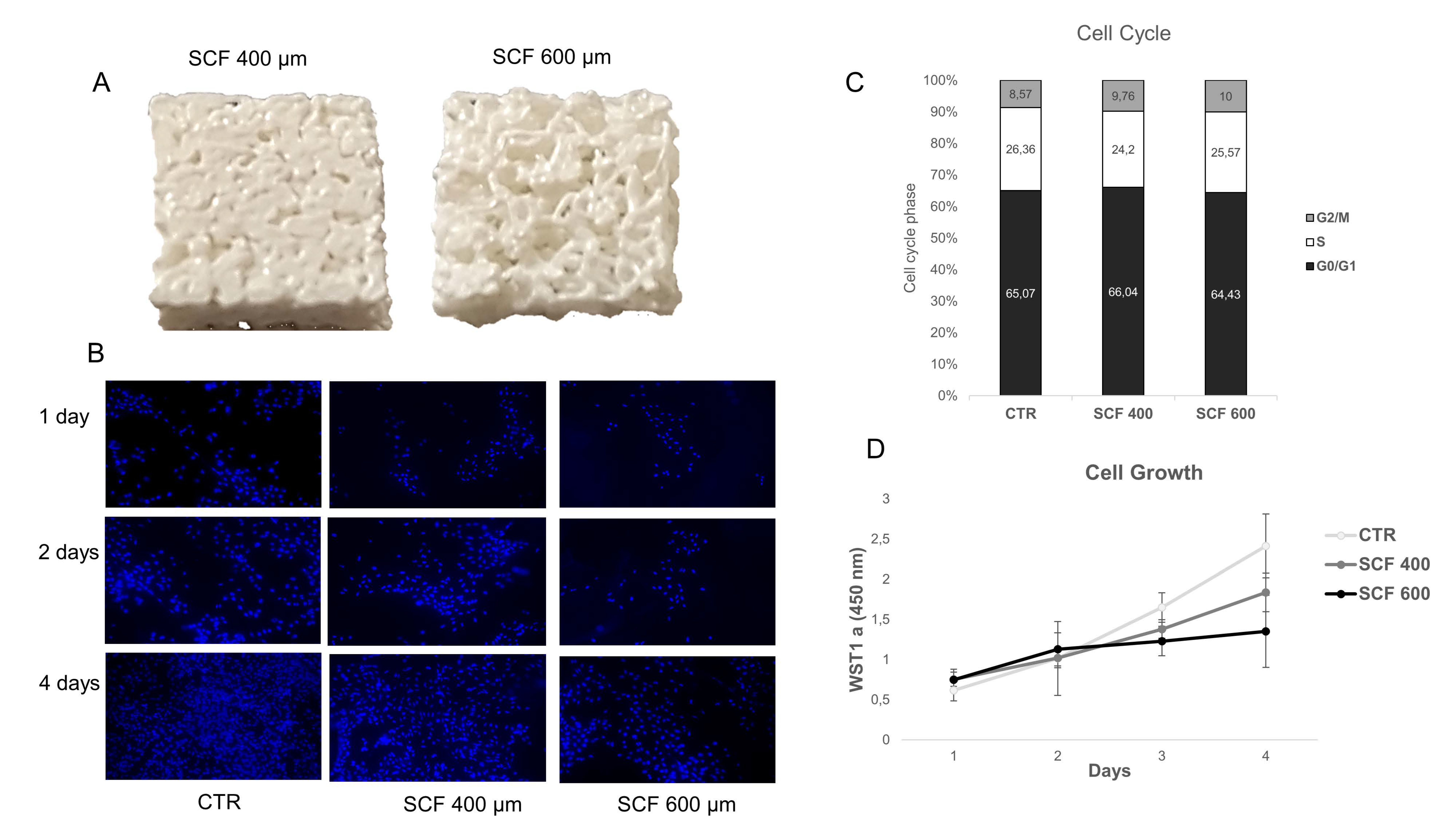 Confocal Laser Scanning Microscopy Examination of Cell Cultures in  threedimensional Scaffolds for Tissue Engineering, Microscopy and  Microanalysis