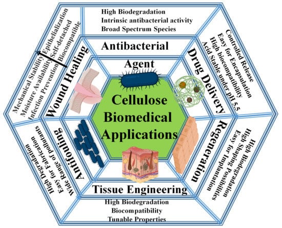 PDF) Regenerated cellulose gel asalternative to physical rigid