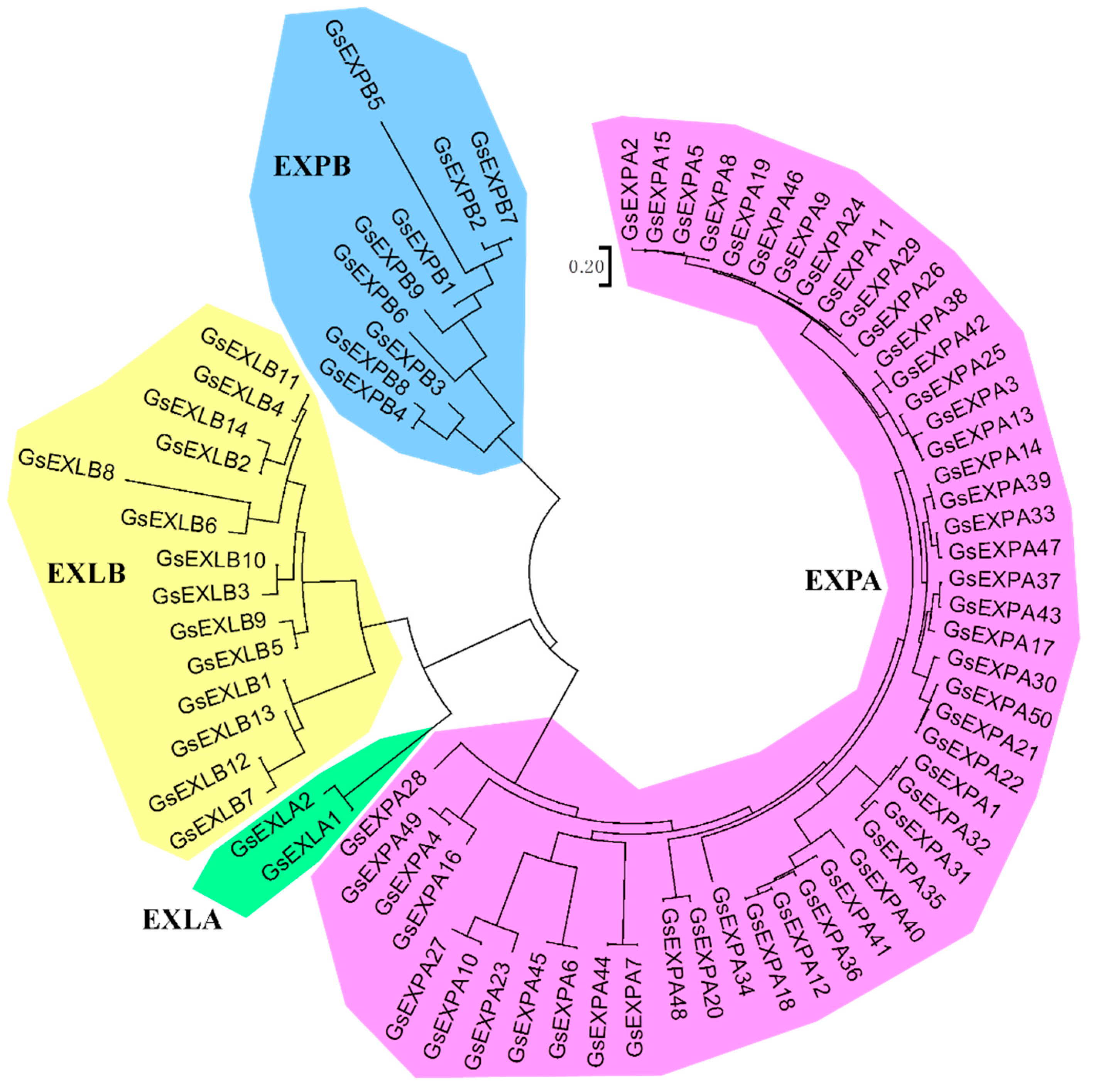 Ijms 23 05407 g001 Ijms 23 05407 g001