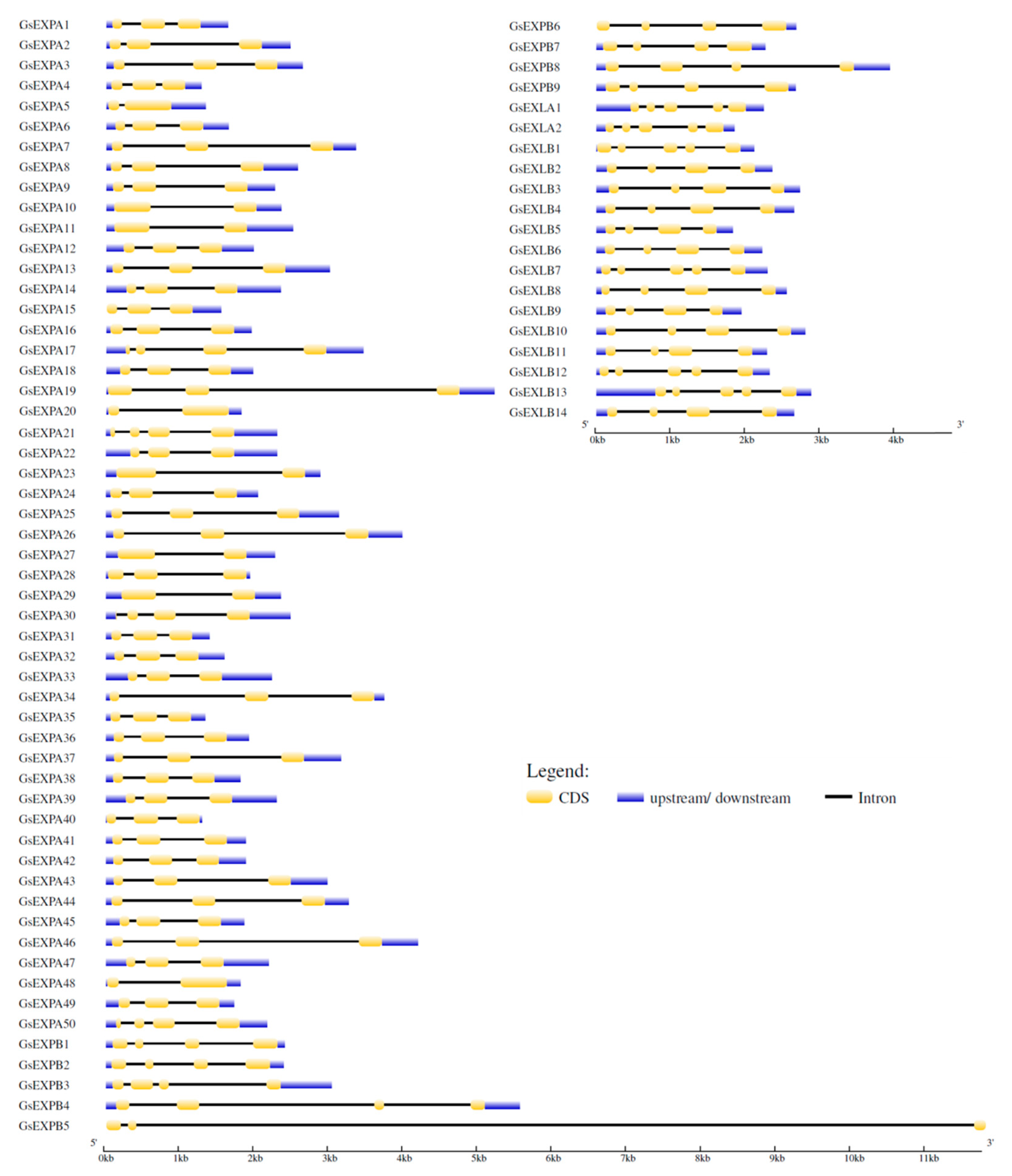 Ijms 23 05407 g002 Ijms 23 05407 g002