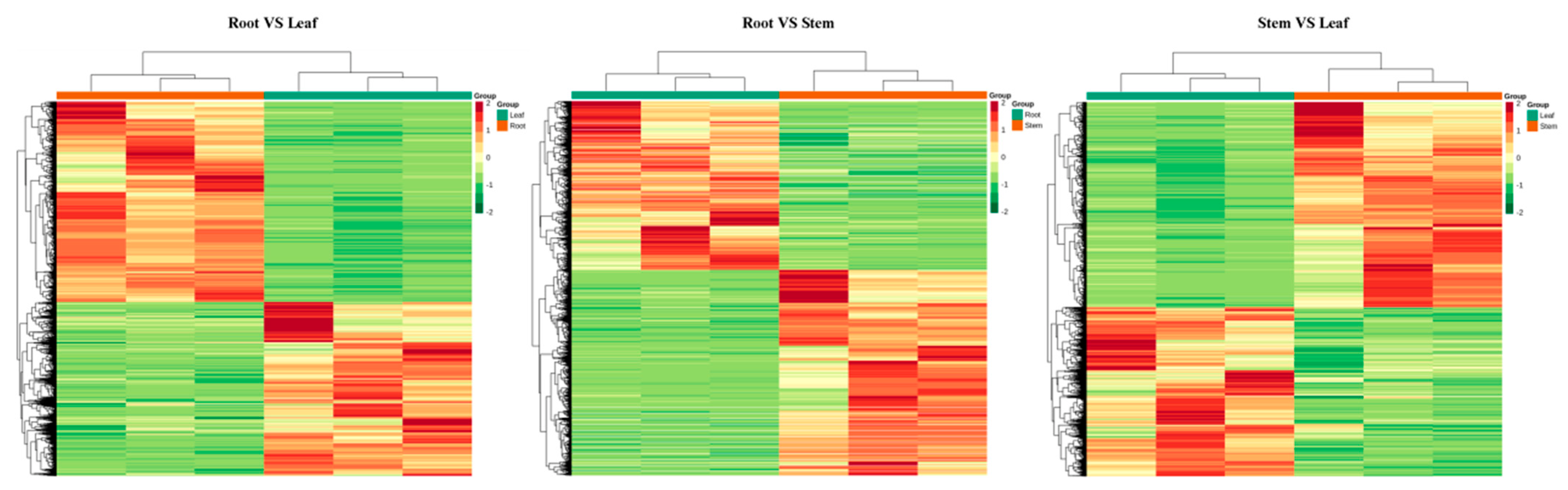 Ijms 23 05407 g005 Ijms 23 05407 g005