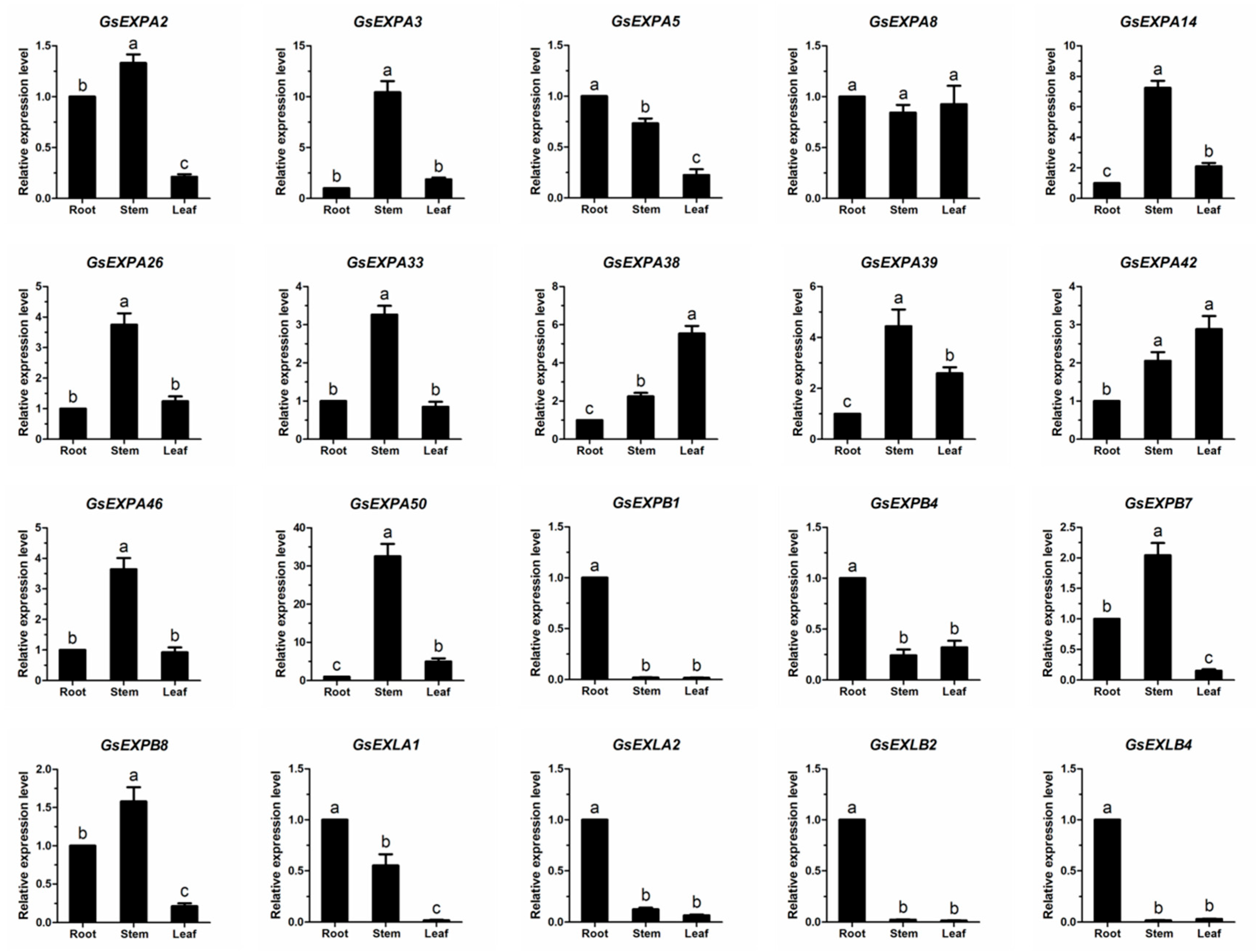 Ijms 23 05407 g007 Ijms 23 05407 g007