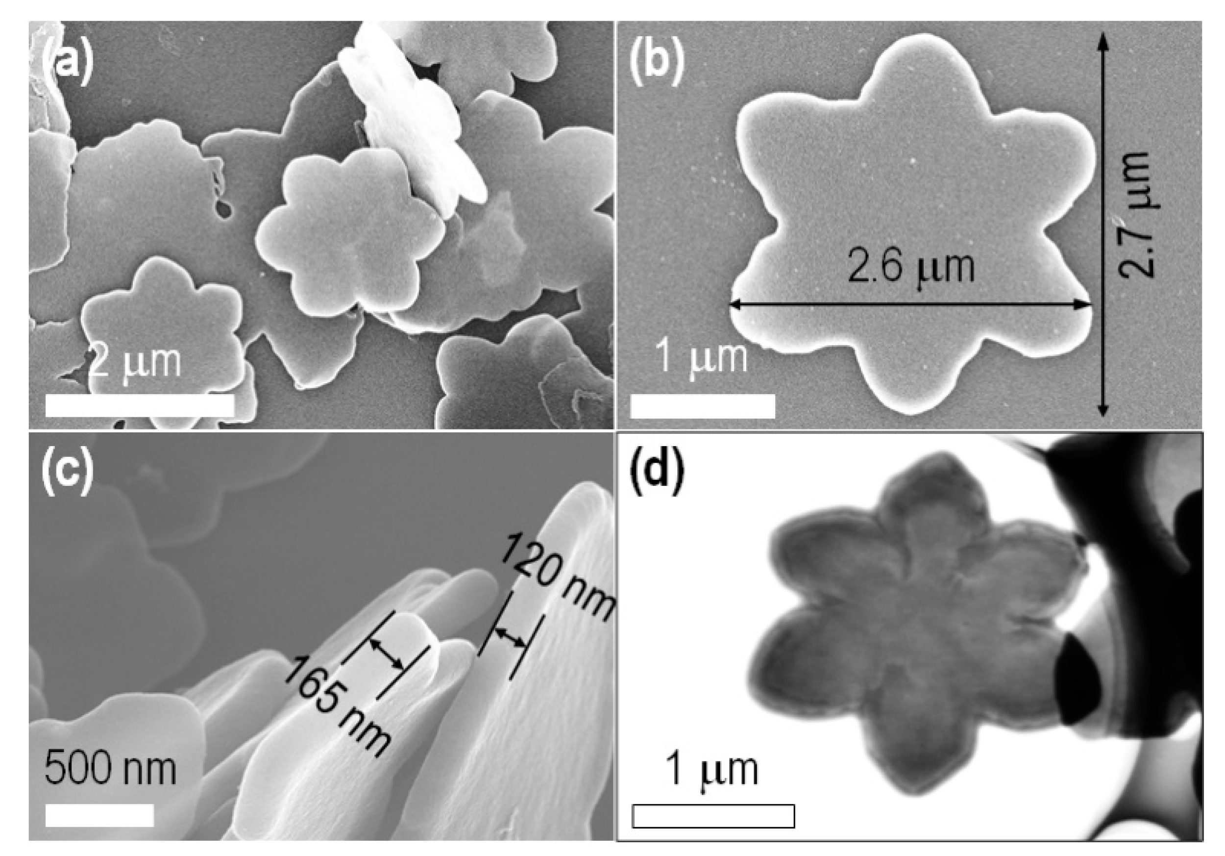 Ijms Free Full Text Fullerene Rosette Two Dimensional Interactive Nanoarchitectonics And 