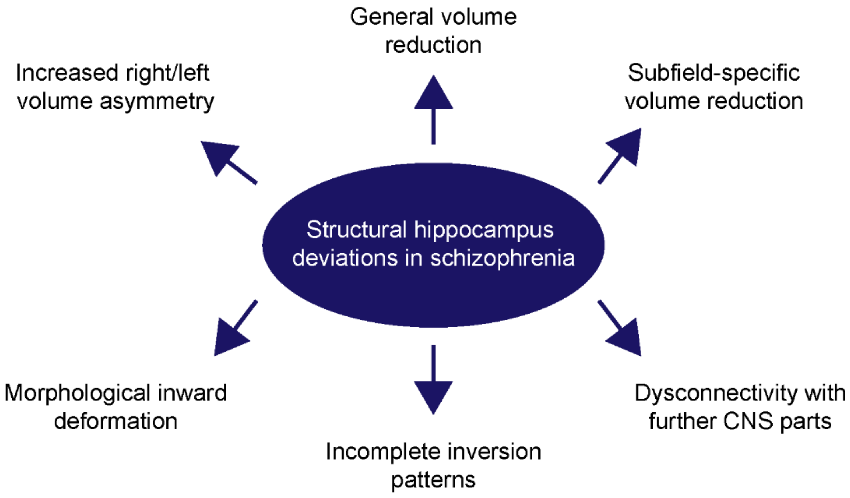 IJMS | Free Full-Text | Structural and Functional Deviations of the  Hippocampus in Schizophrenia and Schizophrenia Animal Models