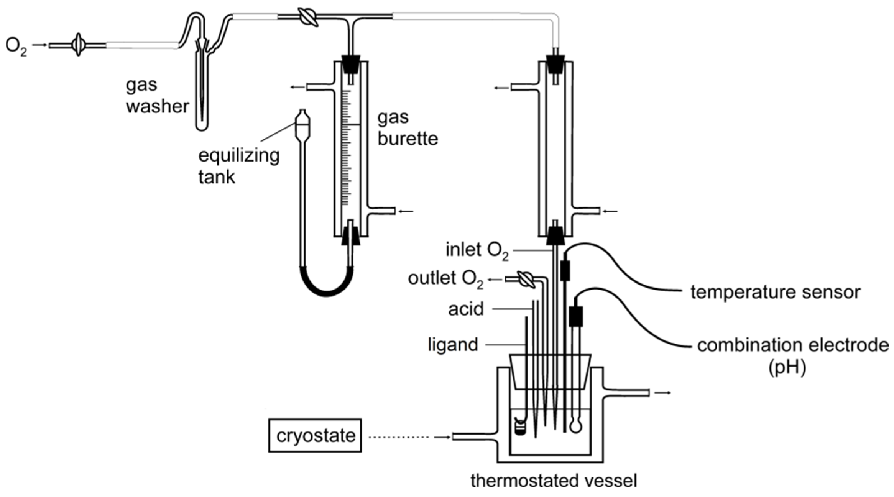 Ijms 23 05492 g002 Ijms 23 05492 g002
