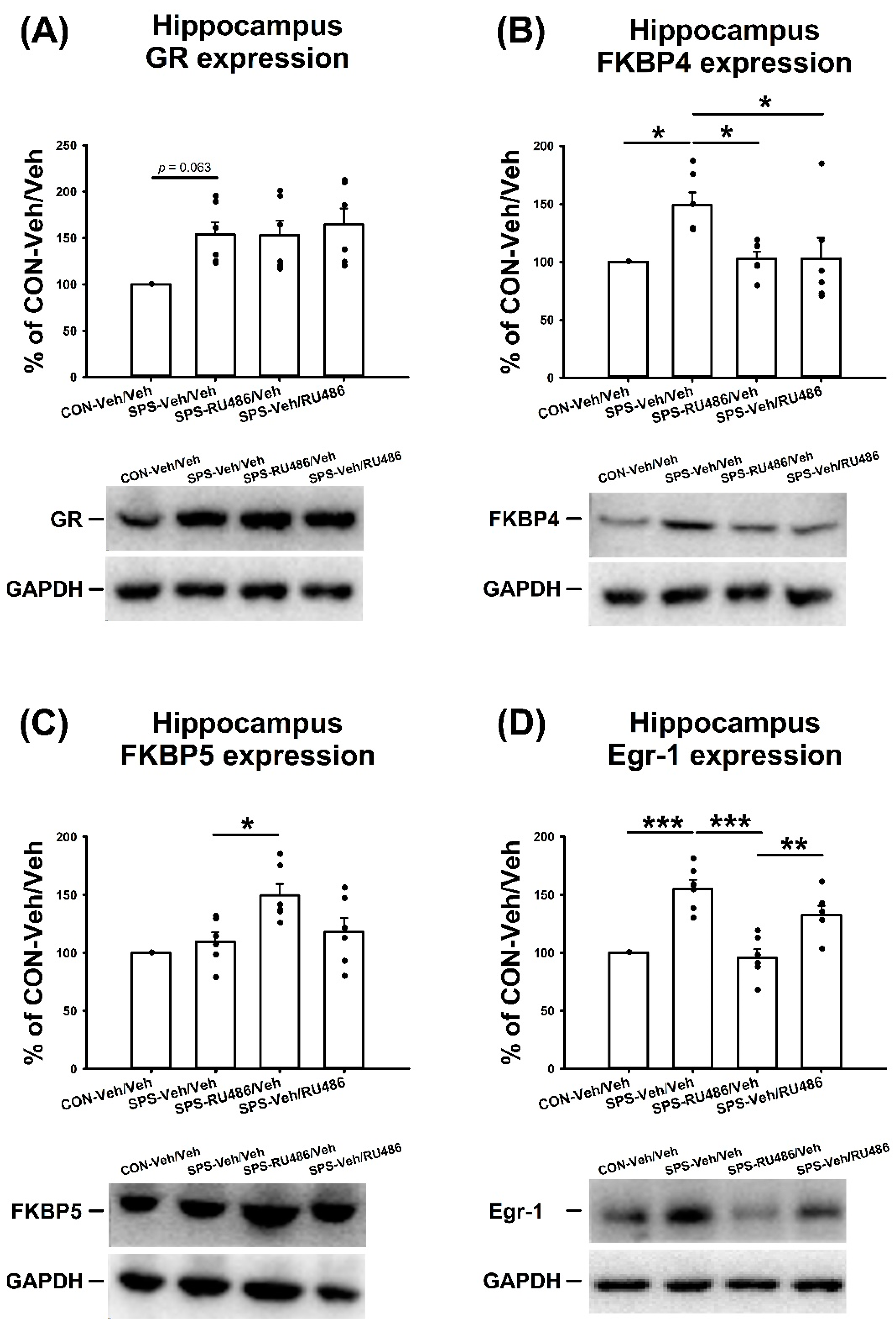 Ijms 23 05494 g003 Ijms 23 05494 g003