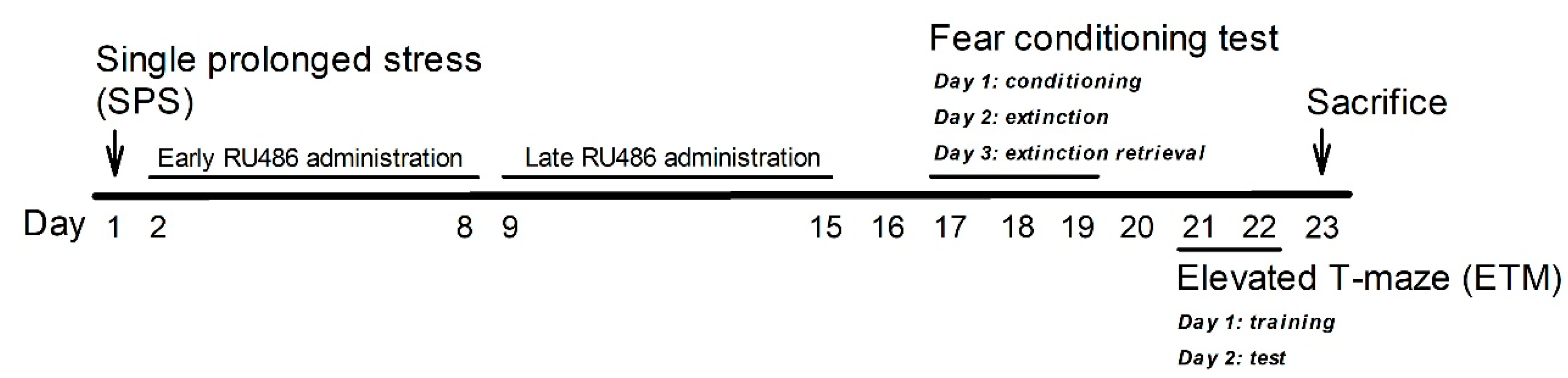 Ijms 23 05494 g007 Ijms 23 05494 g007