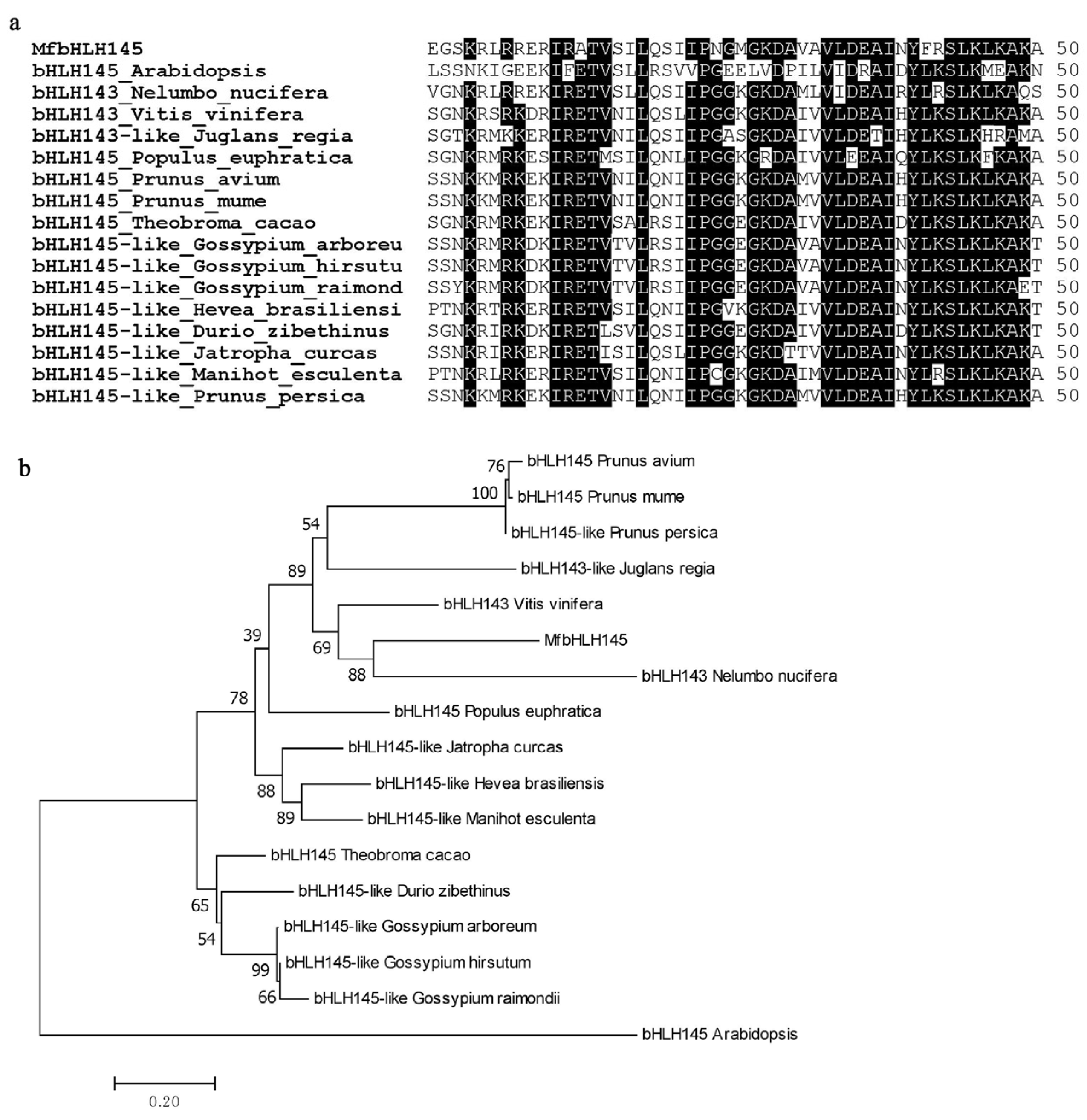 Ijms 23 05546 g001 Ijms 23 05546 g001