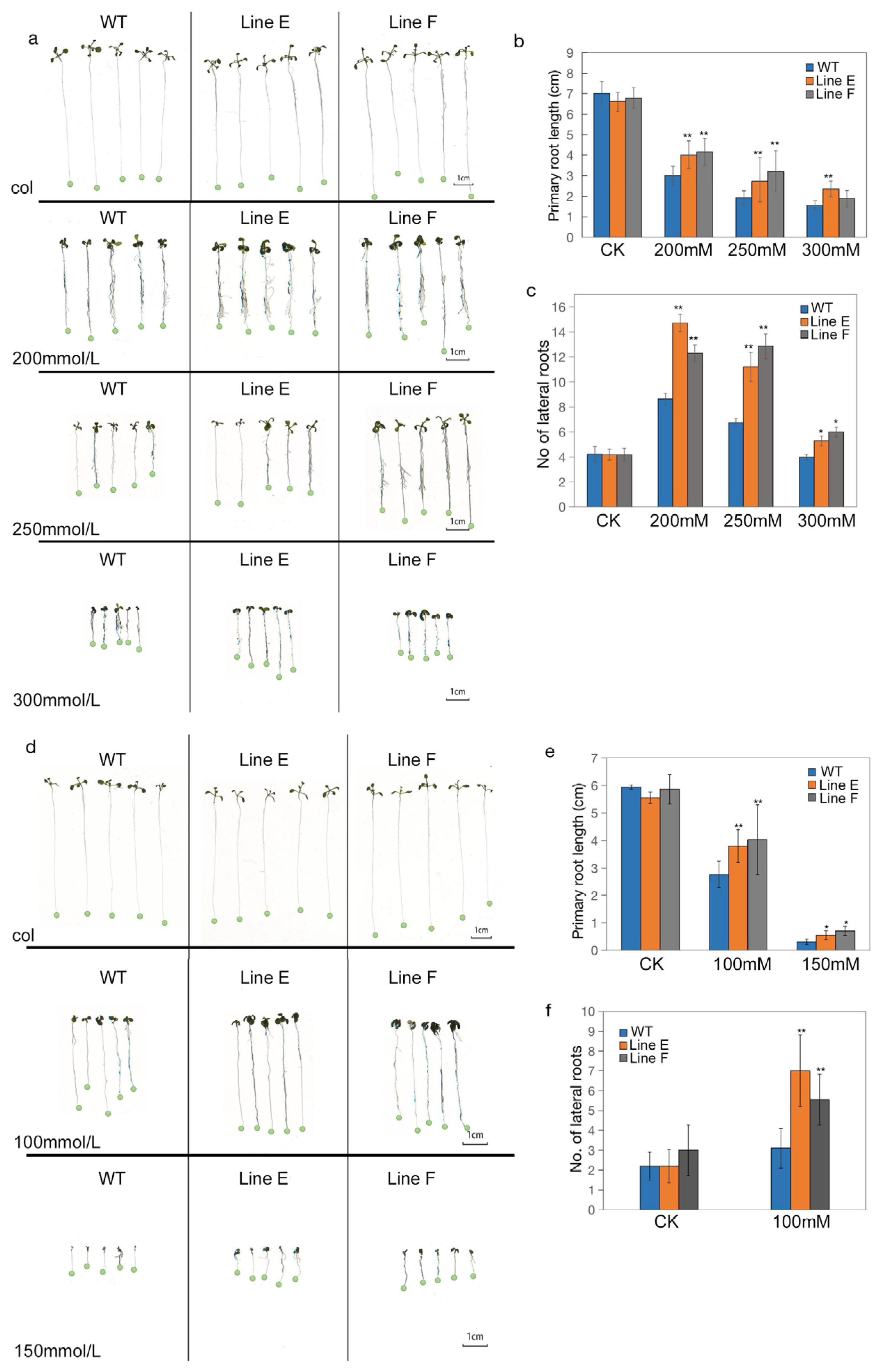 Ijms 23 05546 g003 Ijms 23 05546 g003