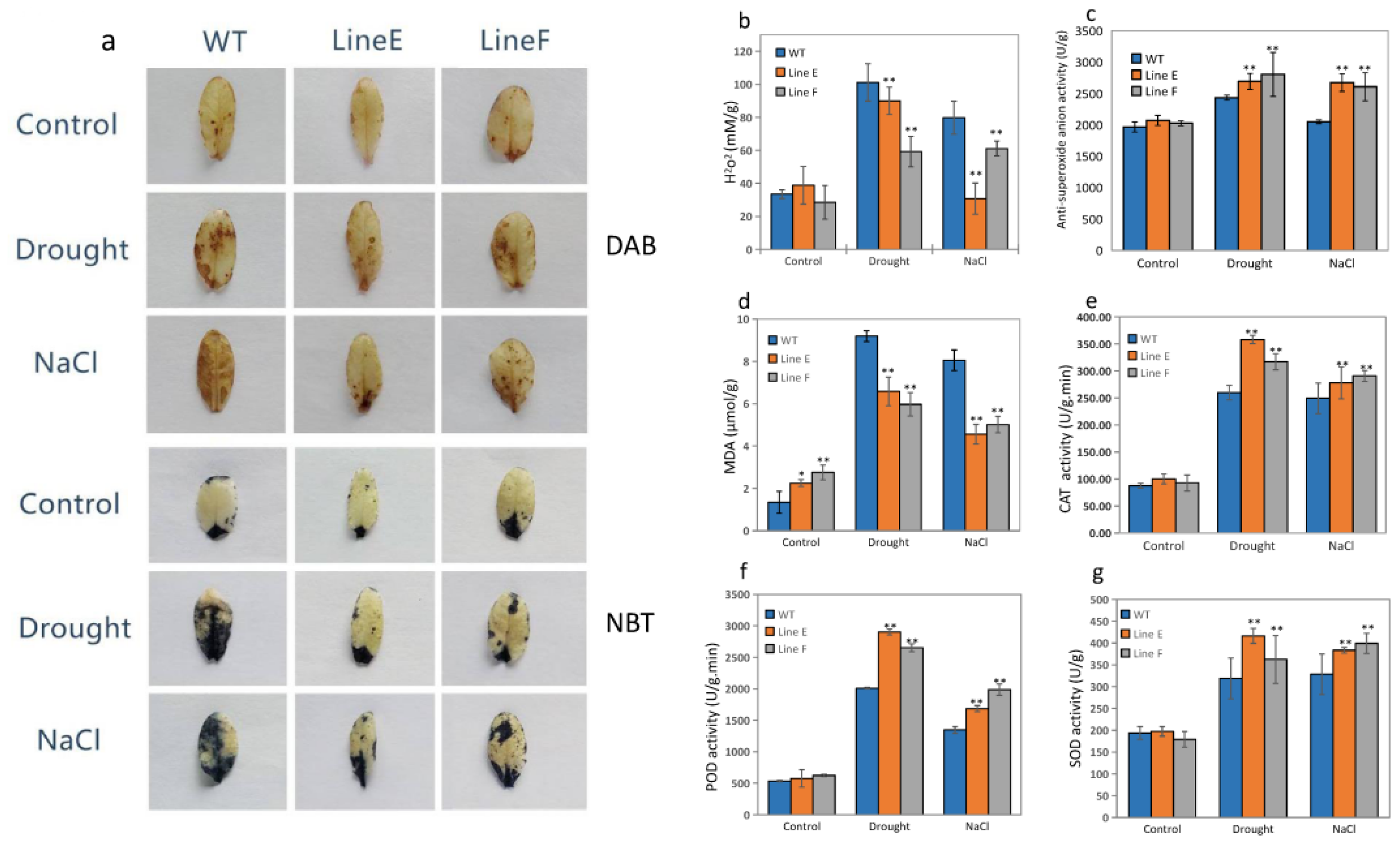 Ijms 23 05546 g007 Ijms 23 05546 g007