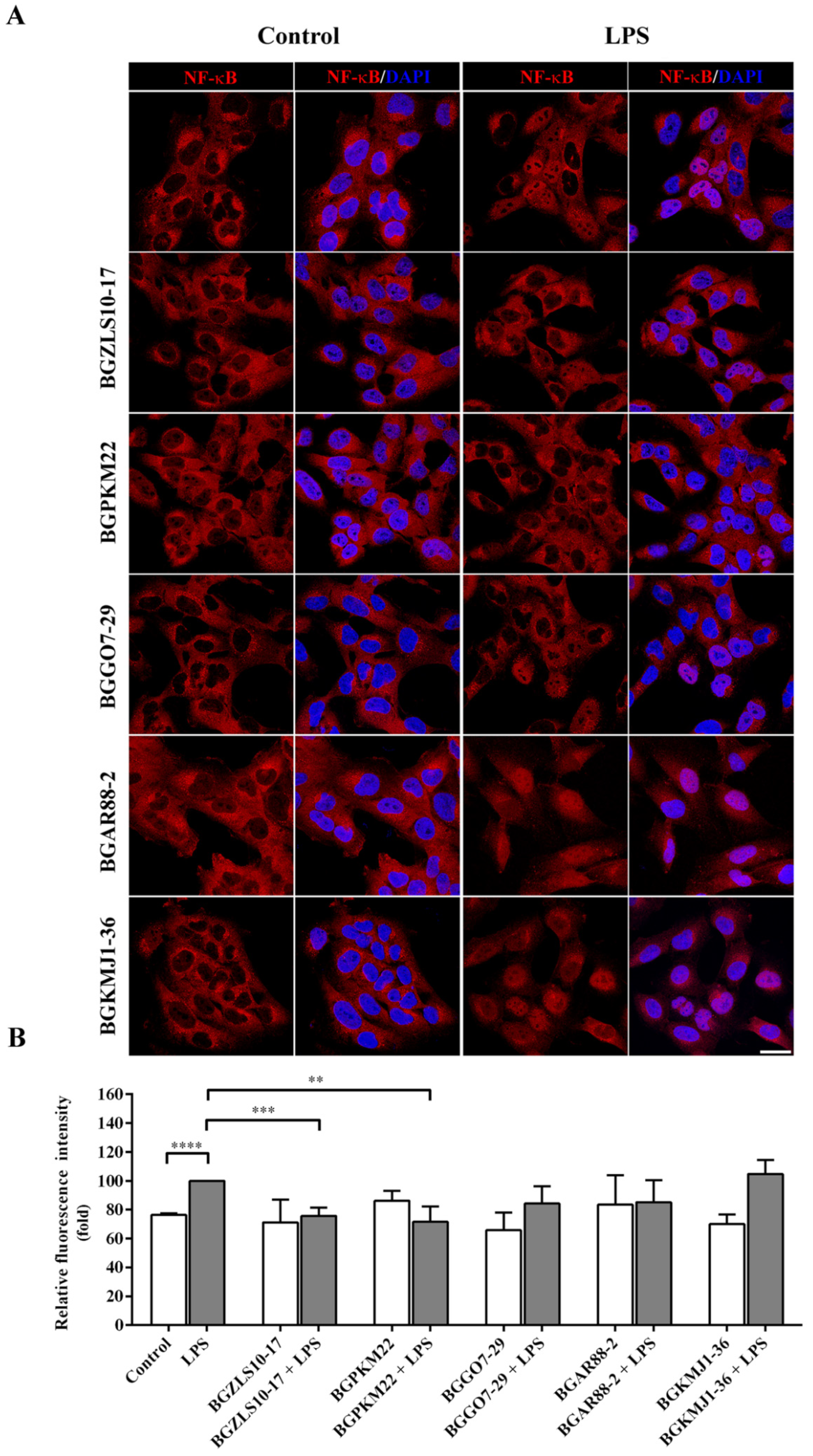 Ijms 23 05547 g003 Ijms 23 05547 g003
