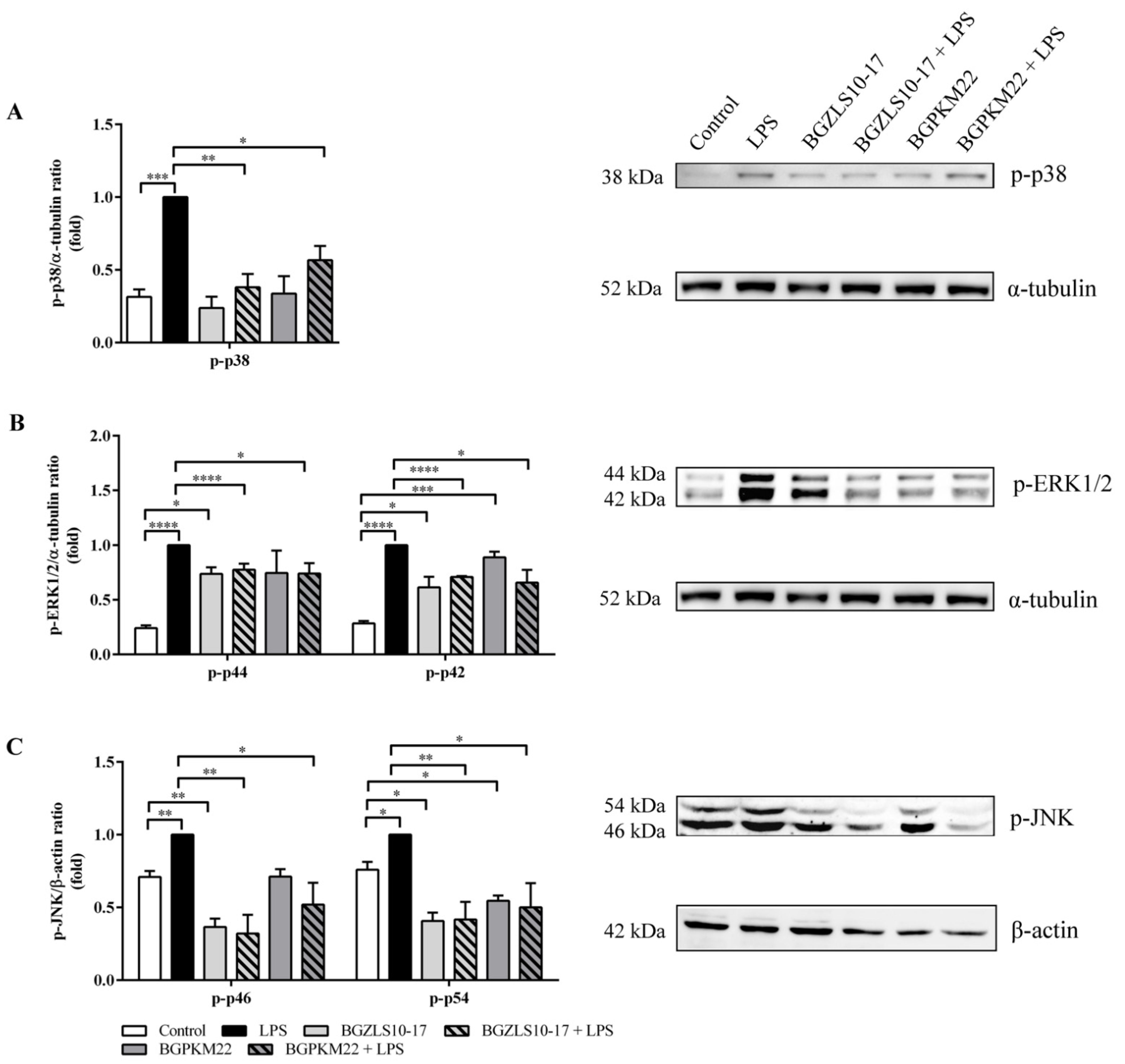 Ijms 23 05547 g004 Ijms 23 05547 g004