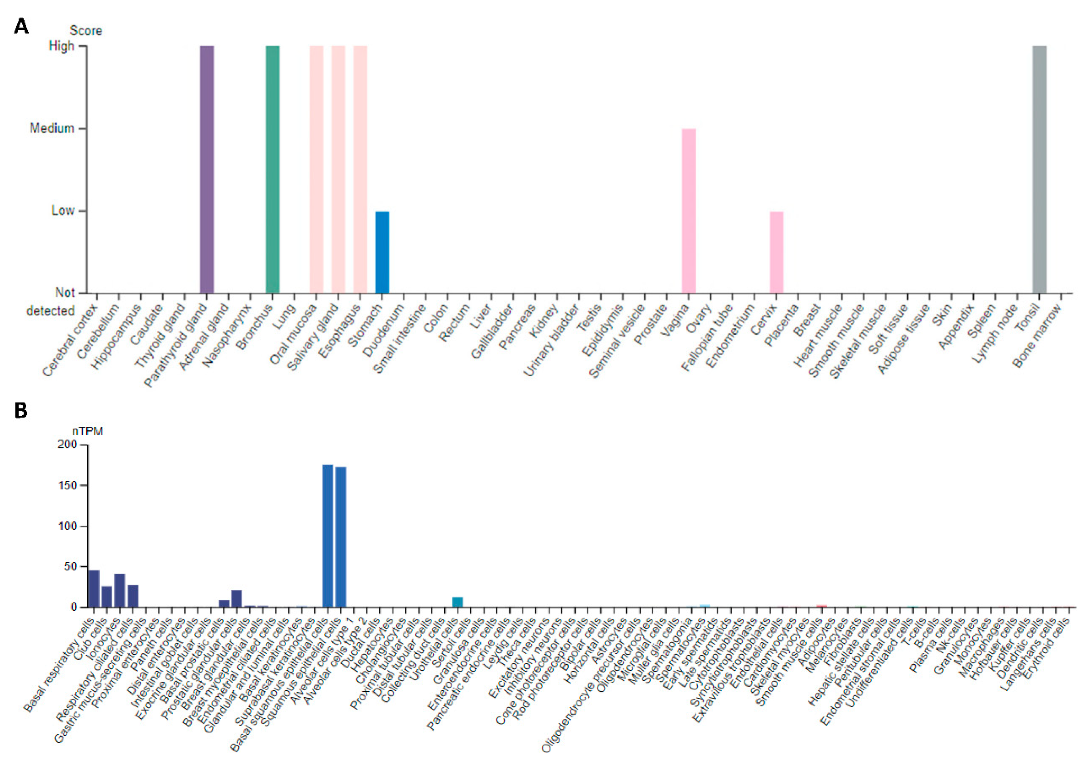 Ijms 23 05589 g001 Ijms 23 05589 g001