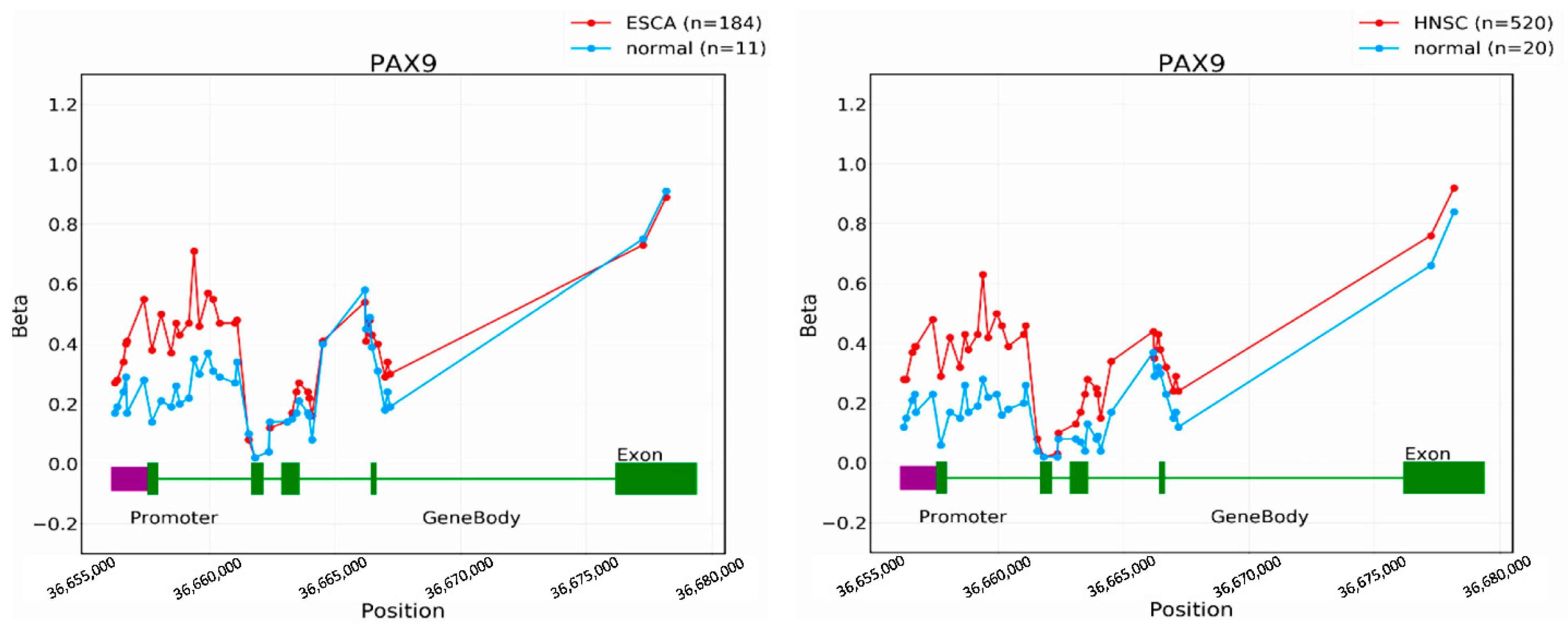 Ijms 23 05589 g005 Ijms 23 05589 g005