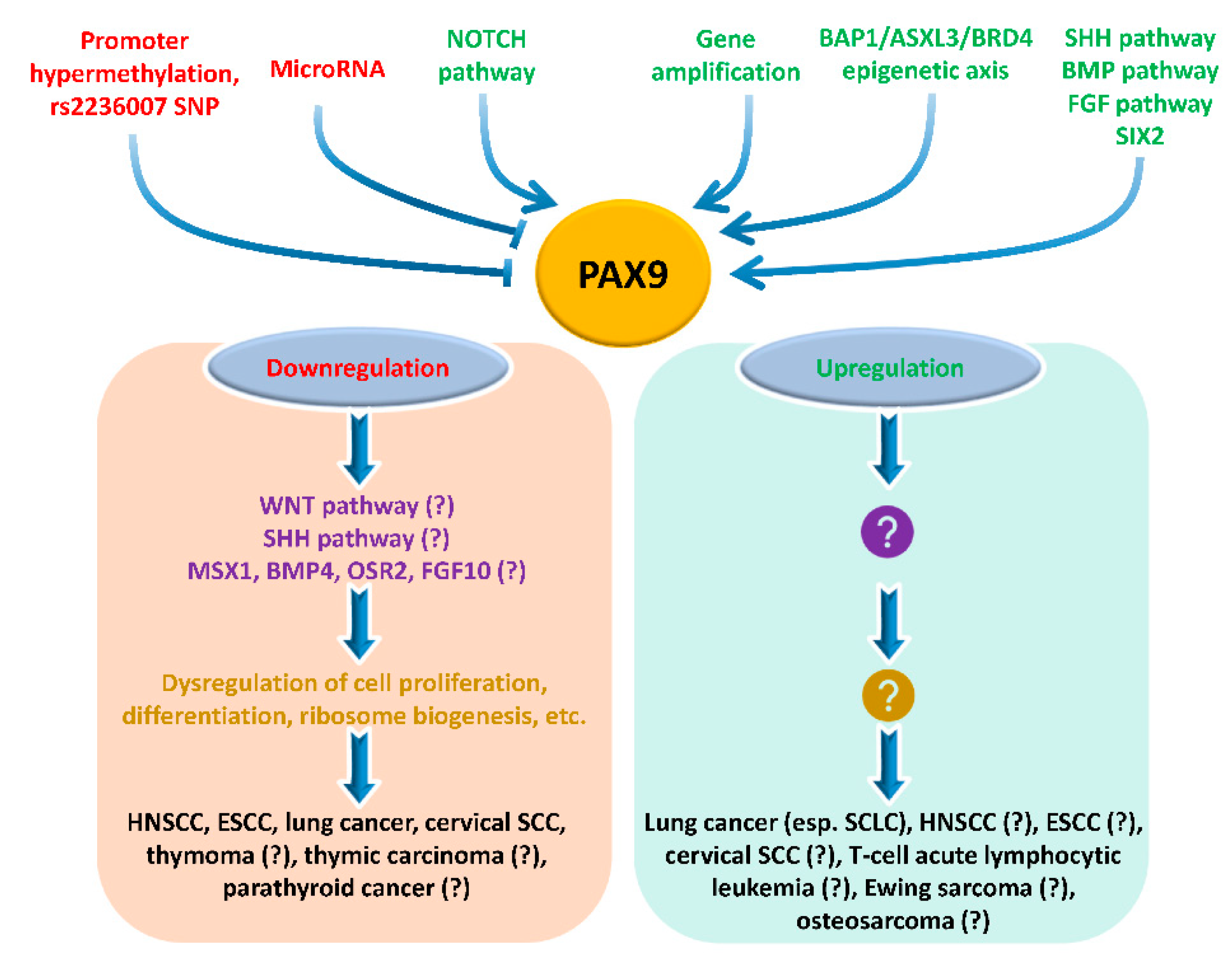 Ijms 23 05589 g006 Ijms 23 05589 g006