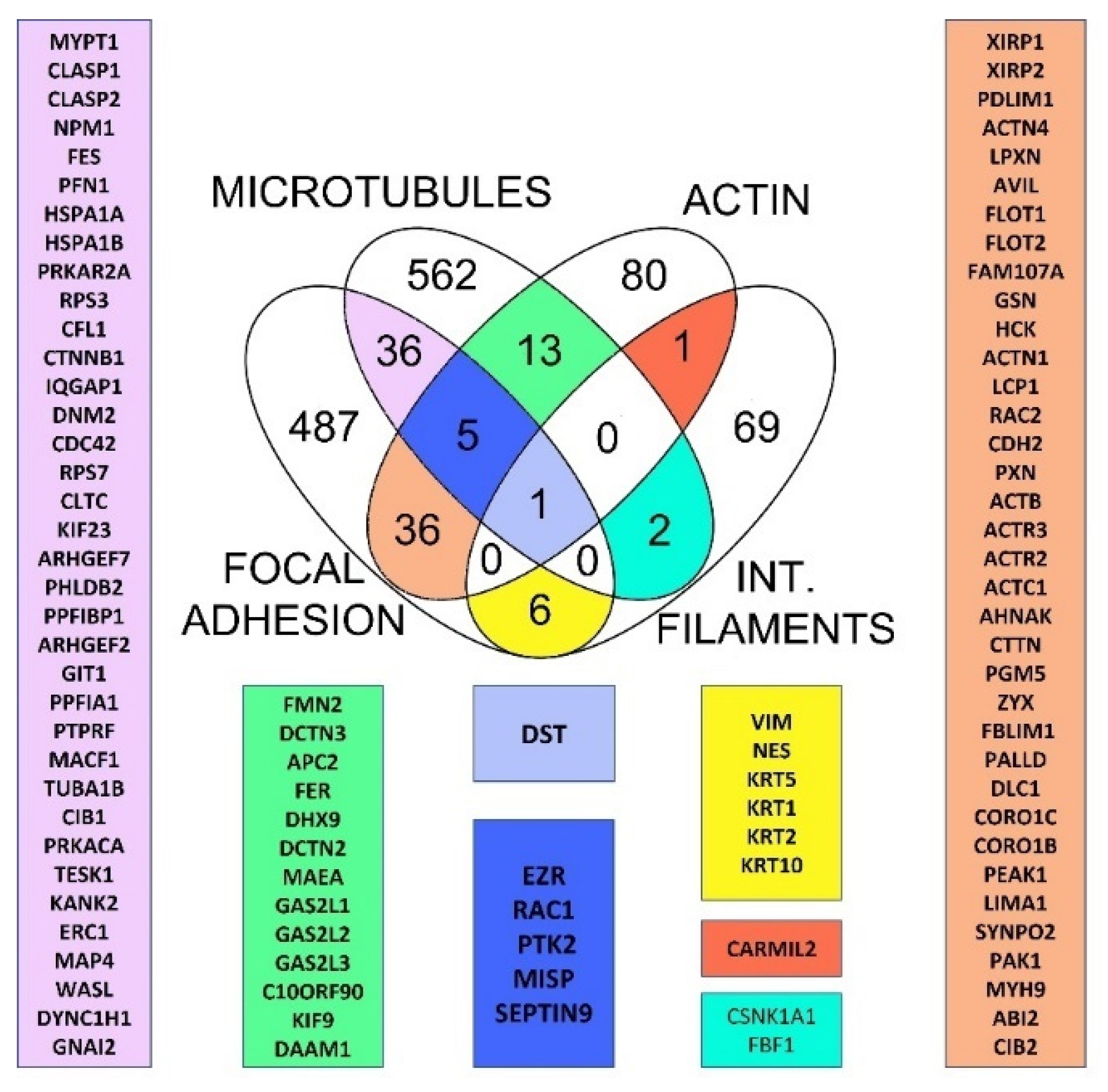 Ijms 23 05594 g001 Ijms 23 05594 g001