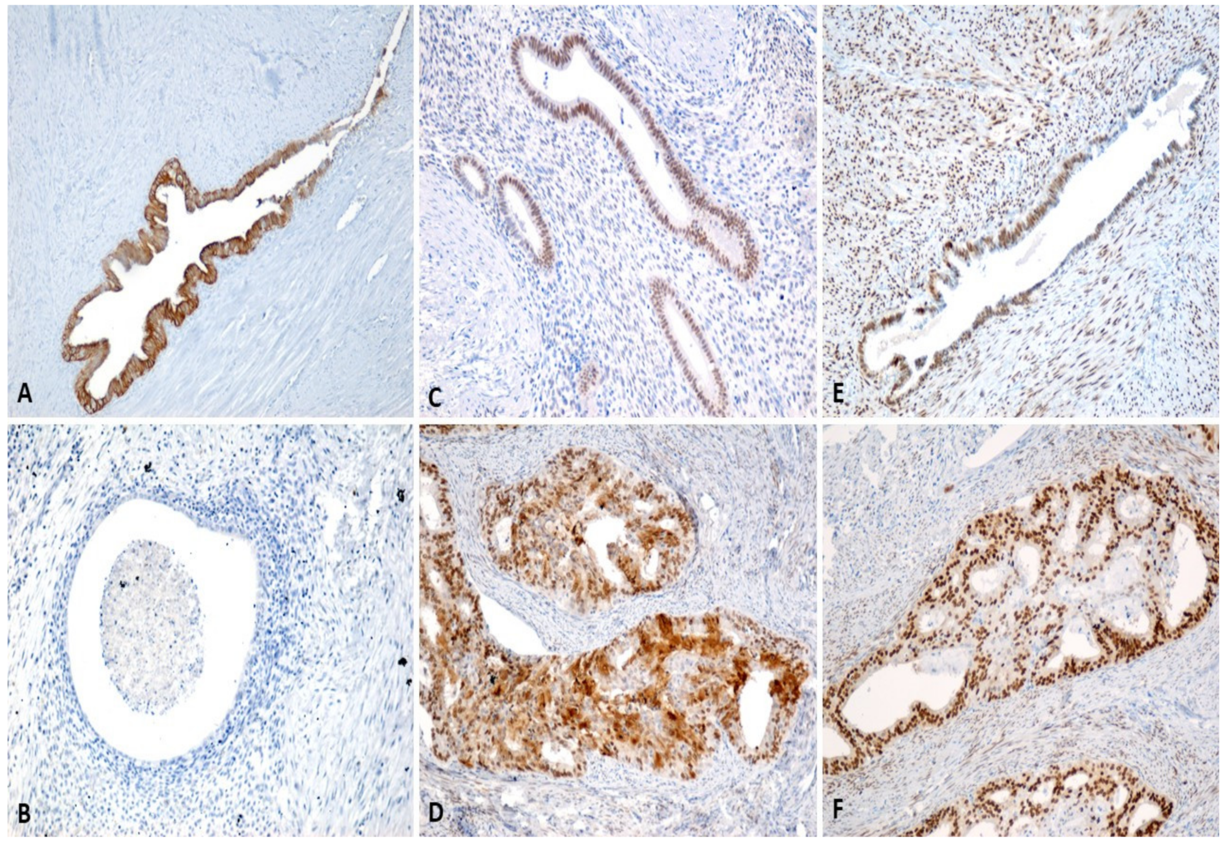 Ijms 23 05614 g004