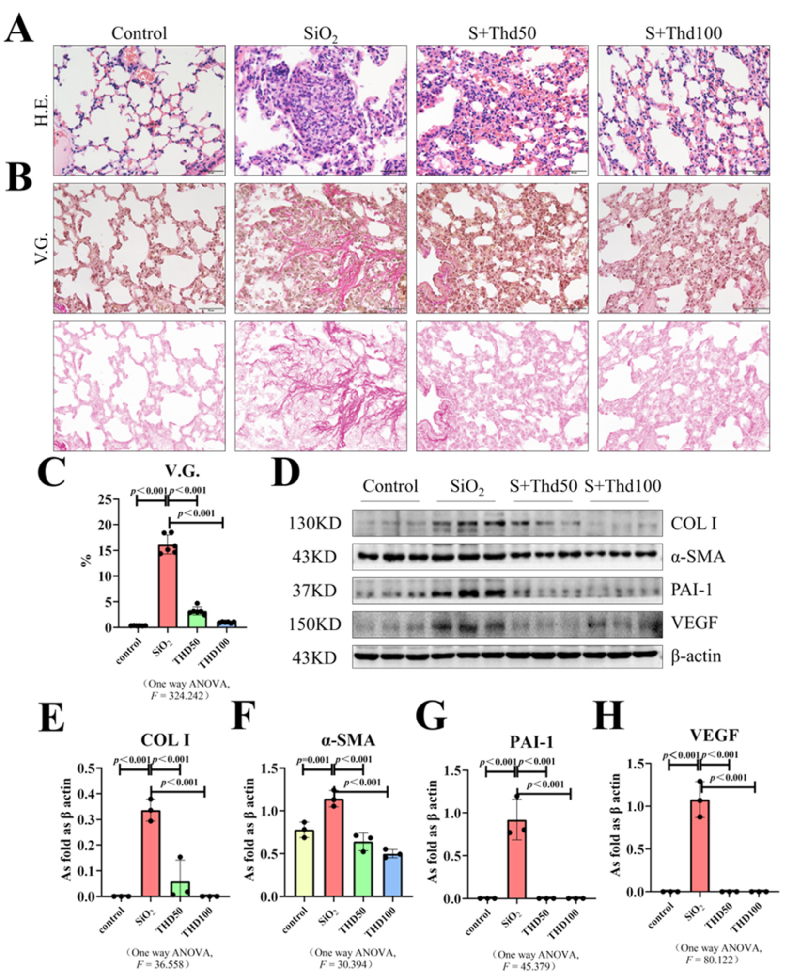Ijms 23 05656 g002 Ijms 23 05656 g002